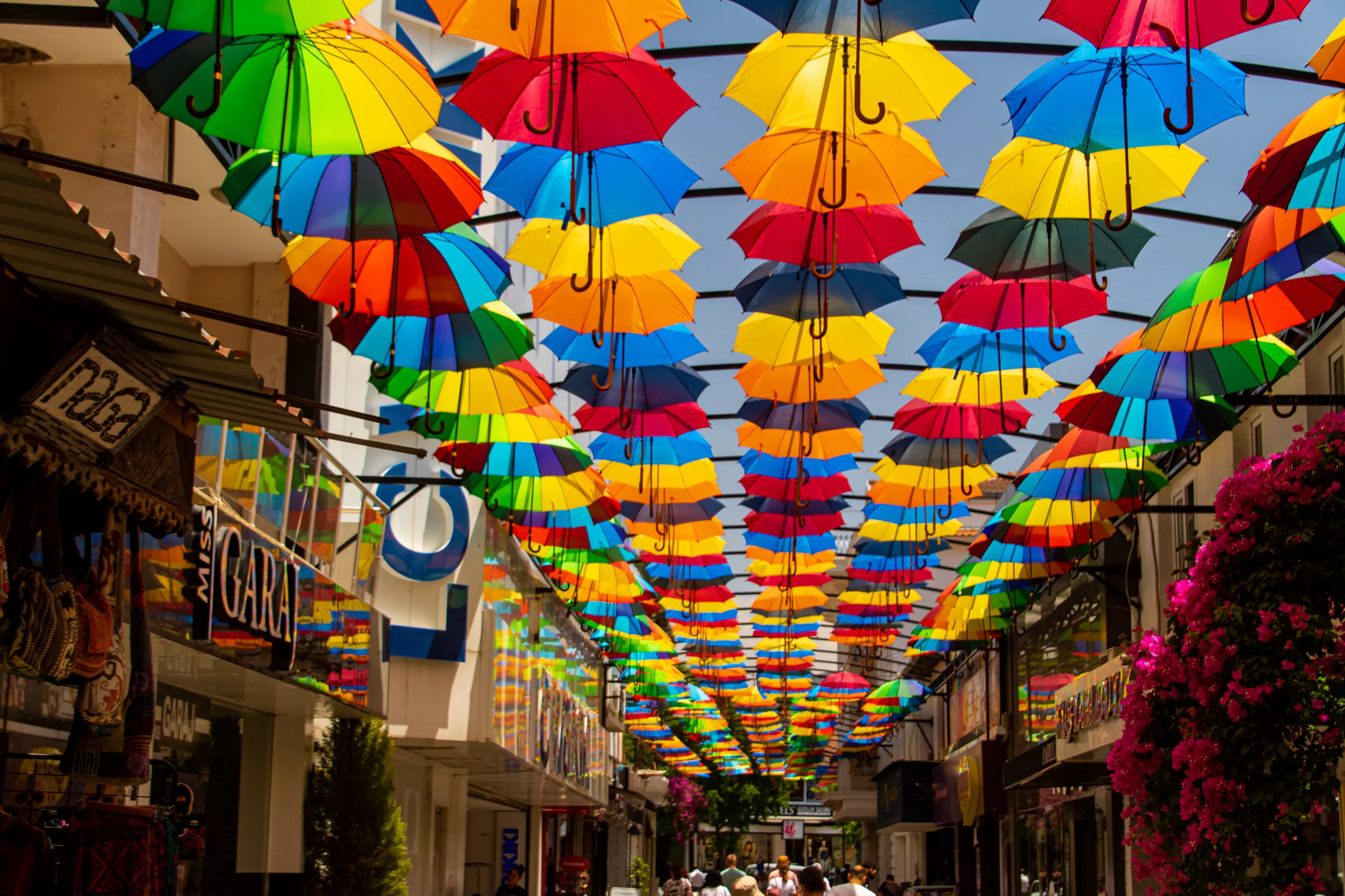 Umbrella sun shades