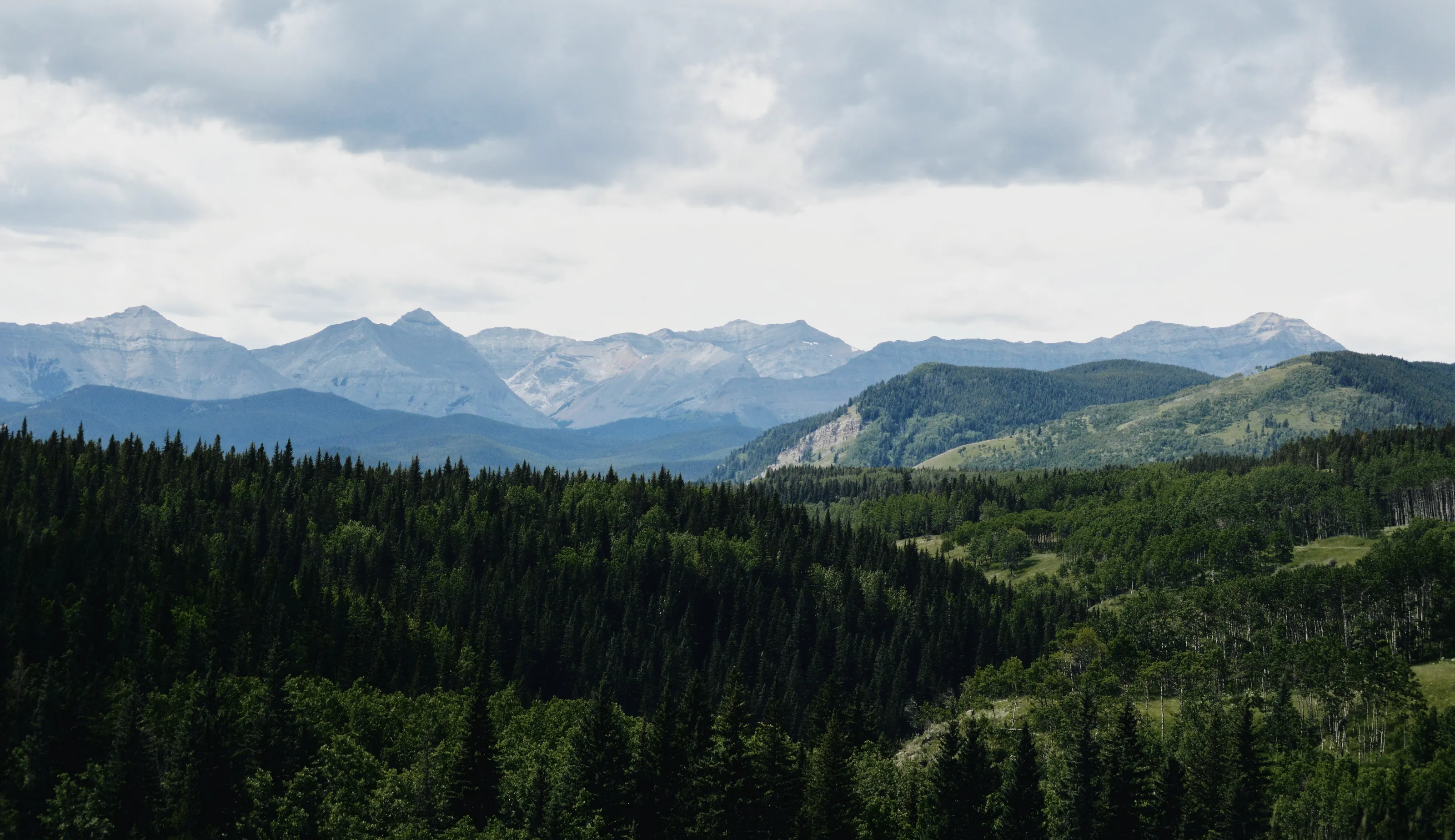 Lush Foothills