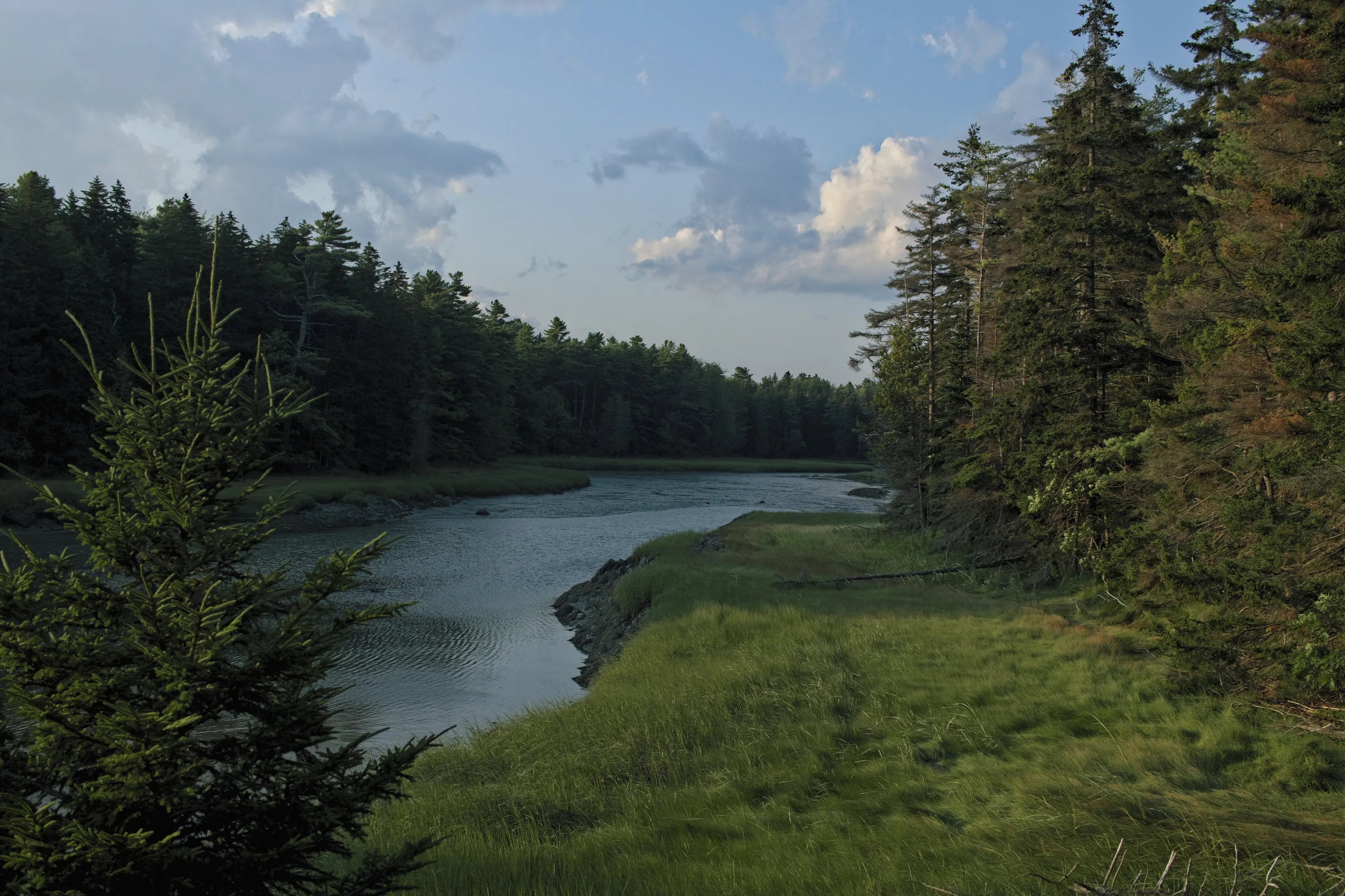 Tranquil river to the ocean.