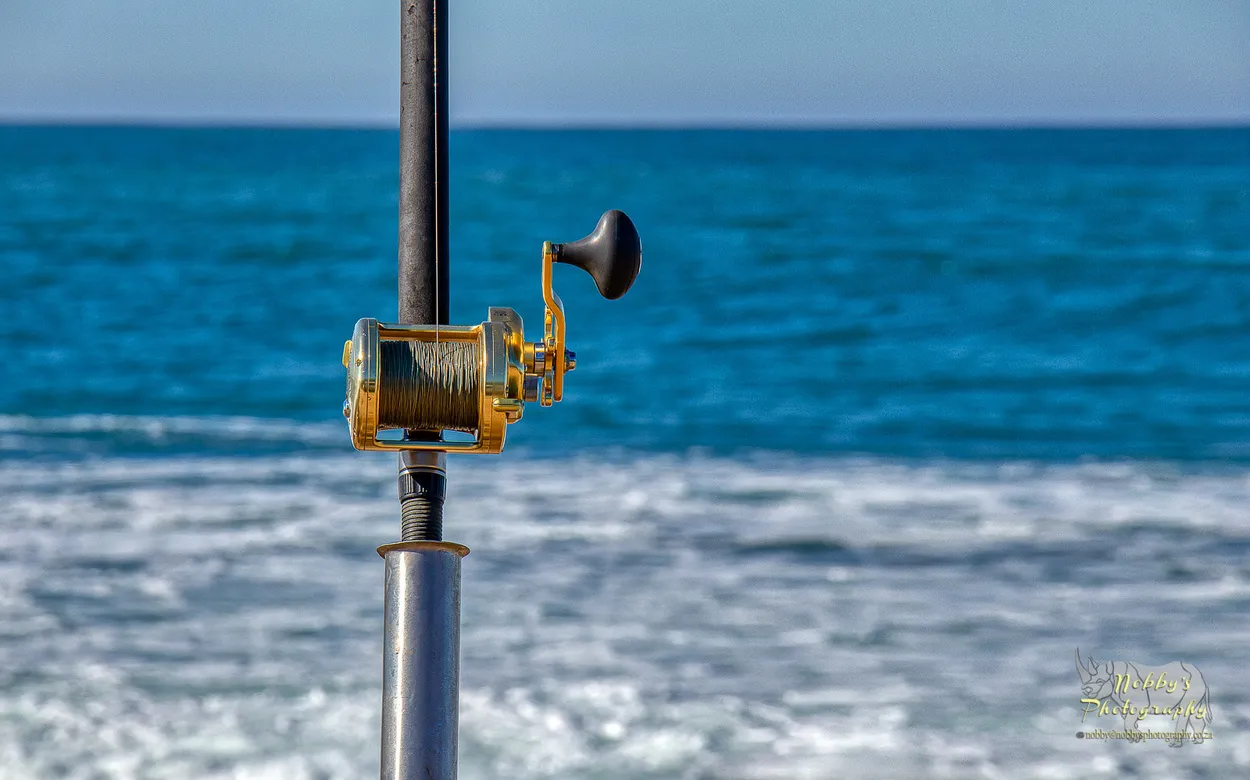 Entry 5163645