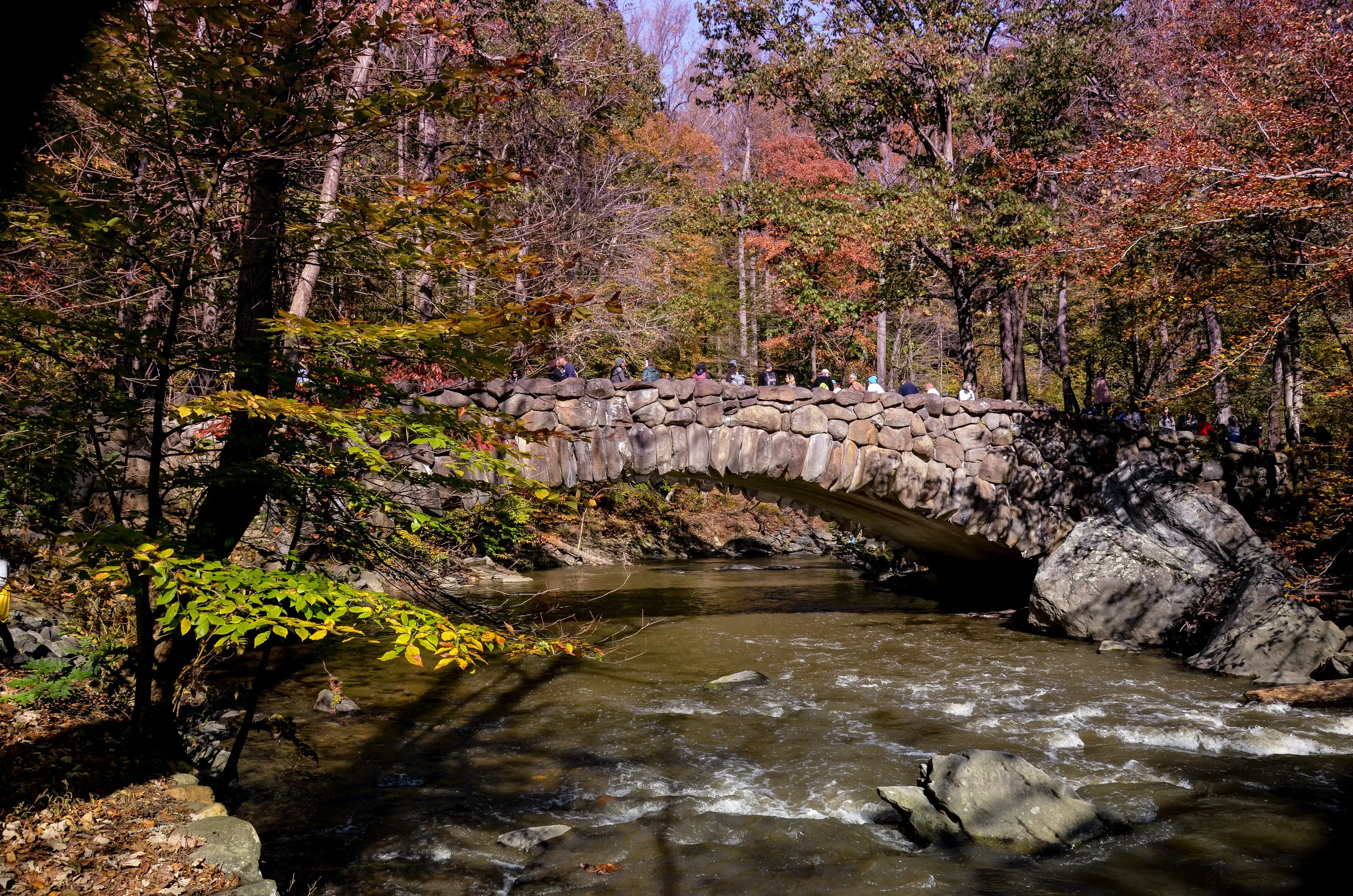 The bridge