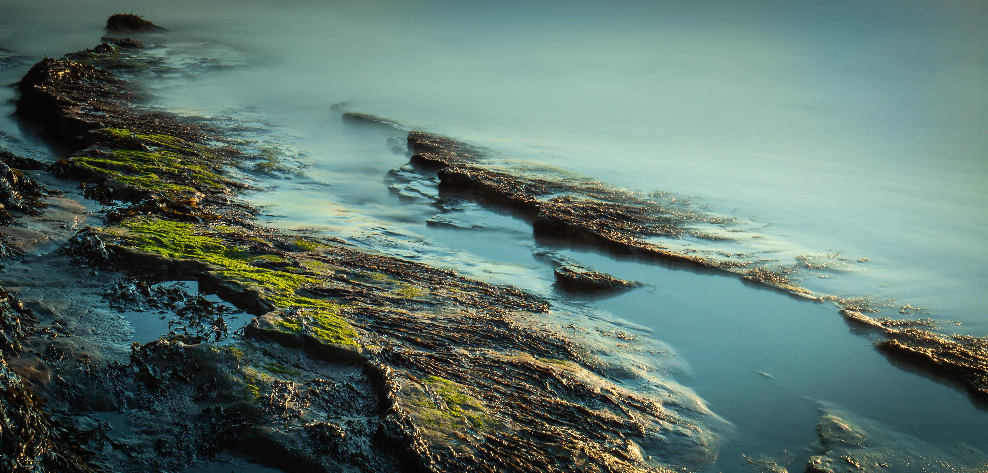 Abstract of the coast