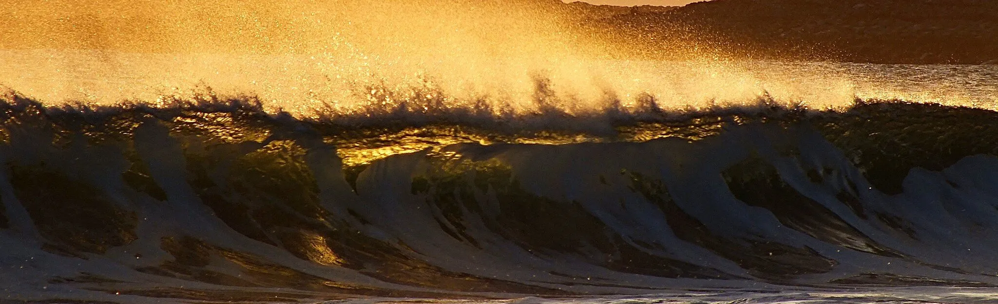 Golden Waves Header