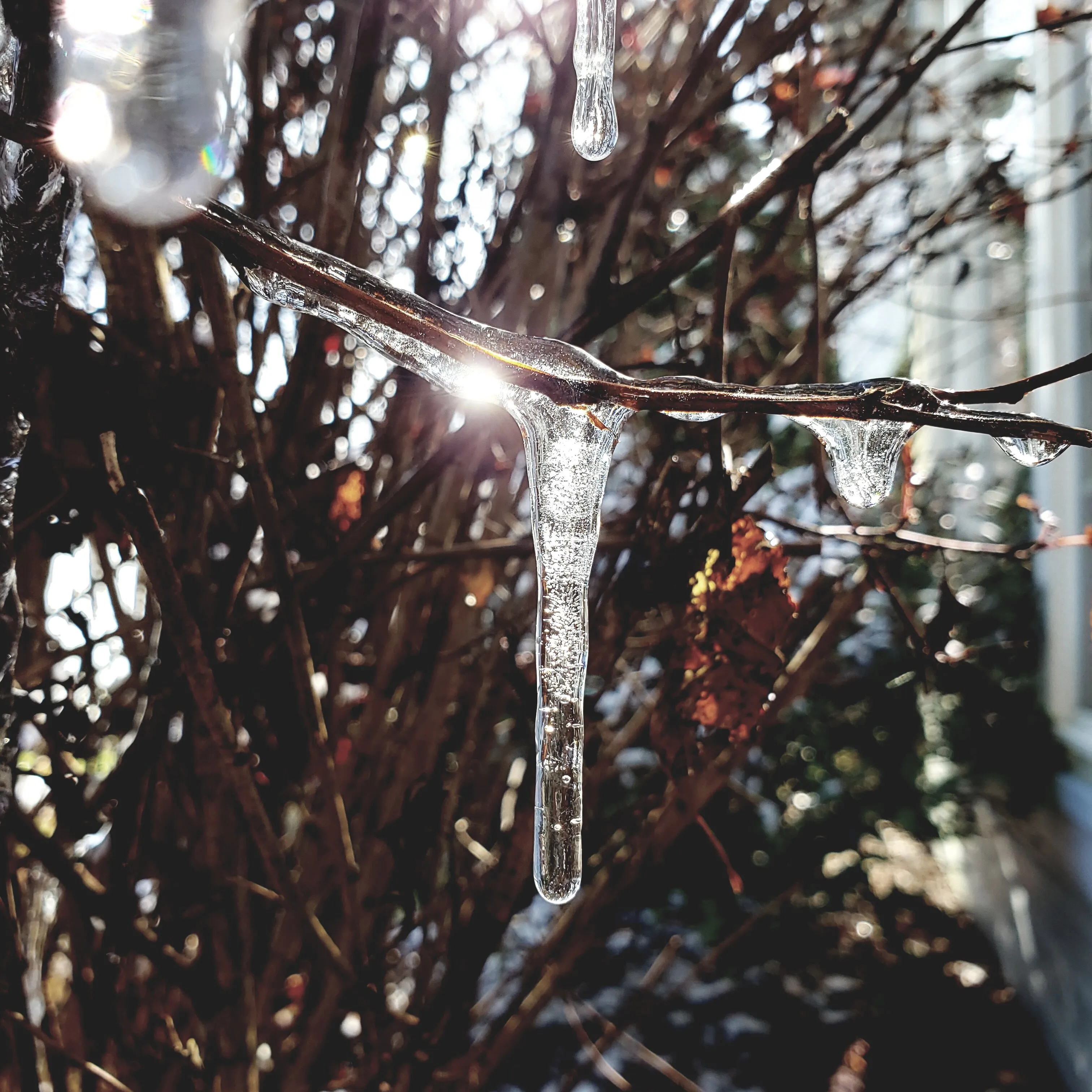 Winter light