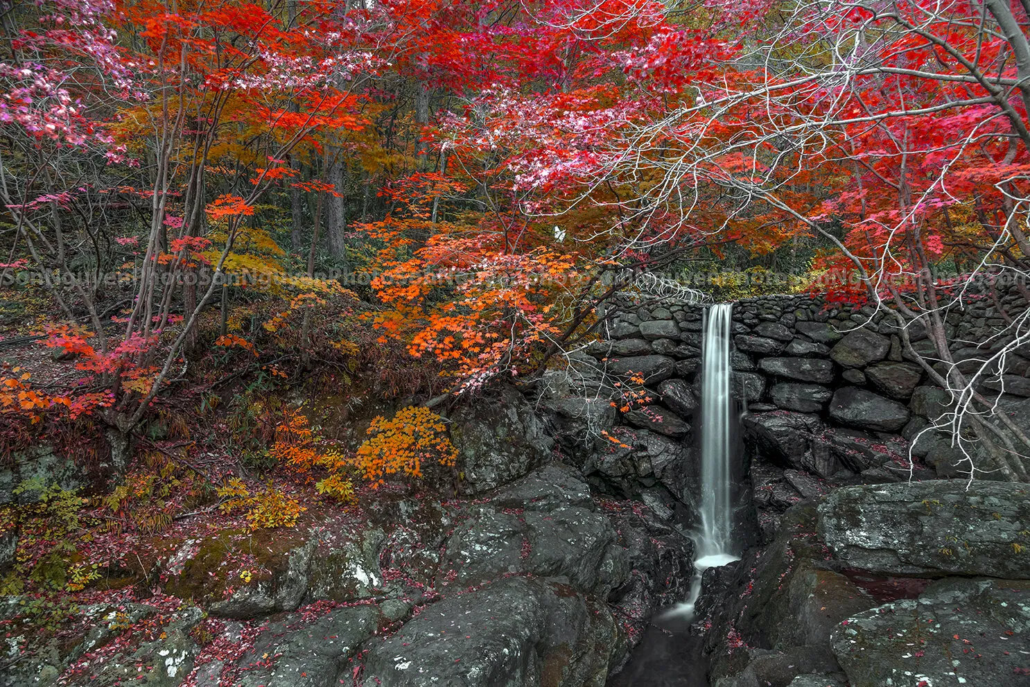 Waterfall in autumn in South Korea