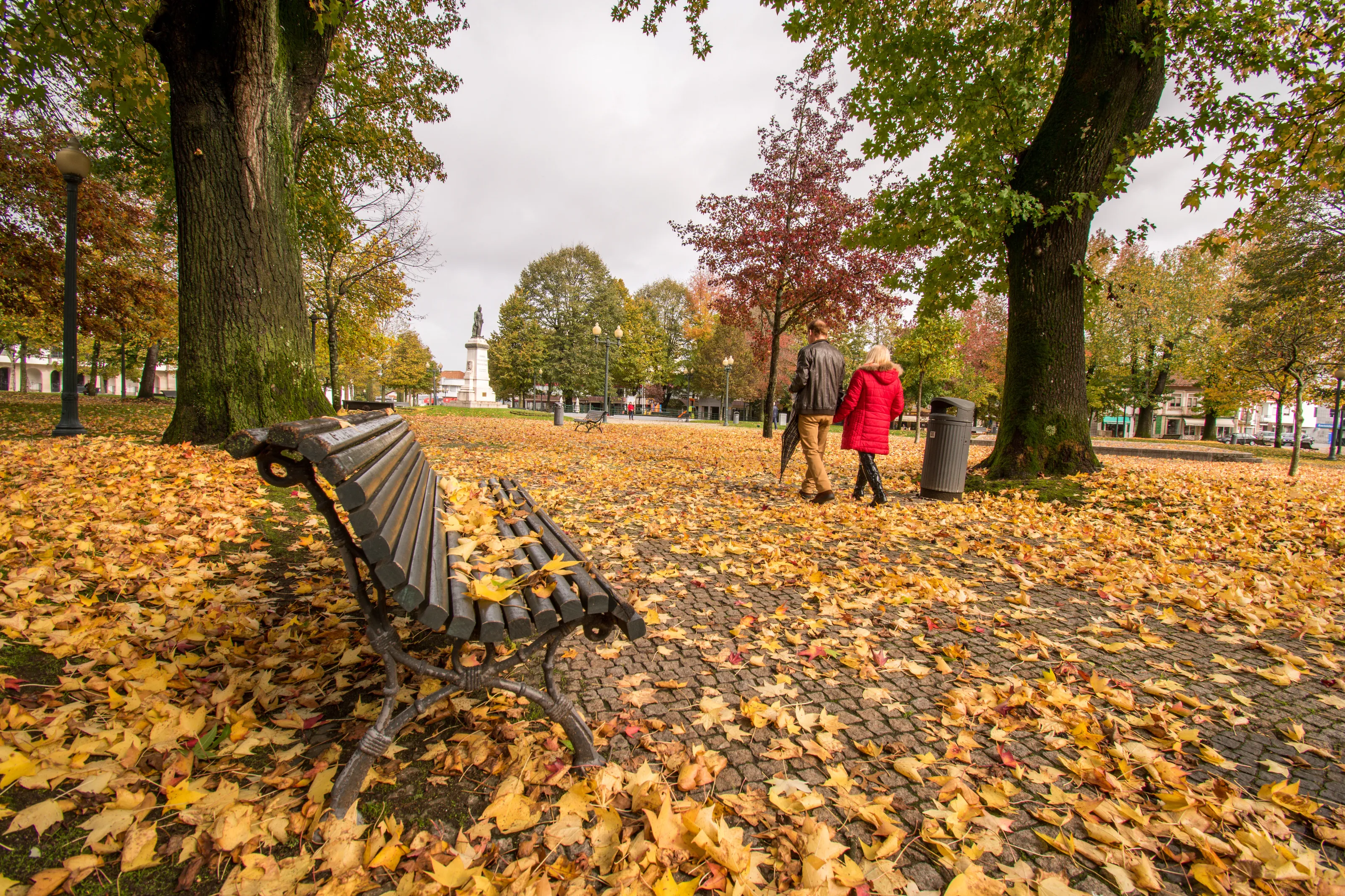 Autumn in my city