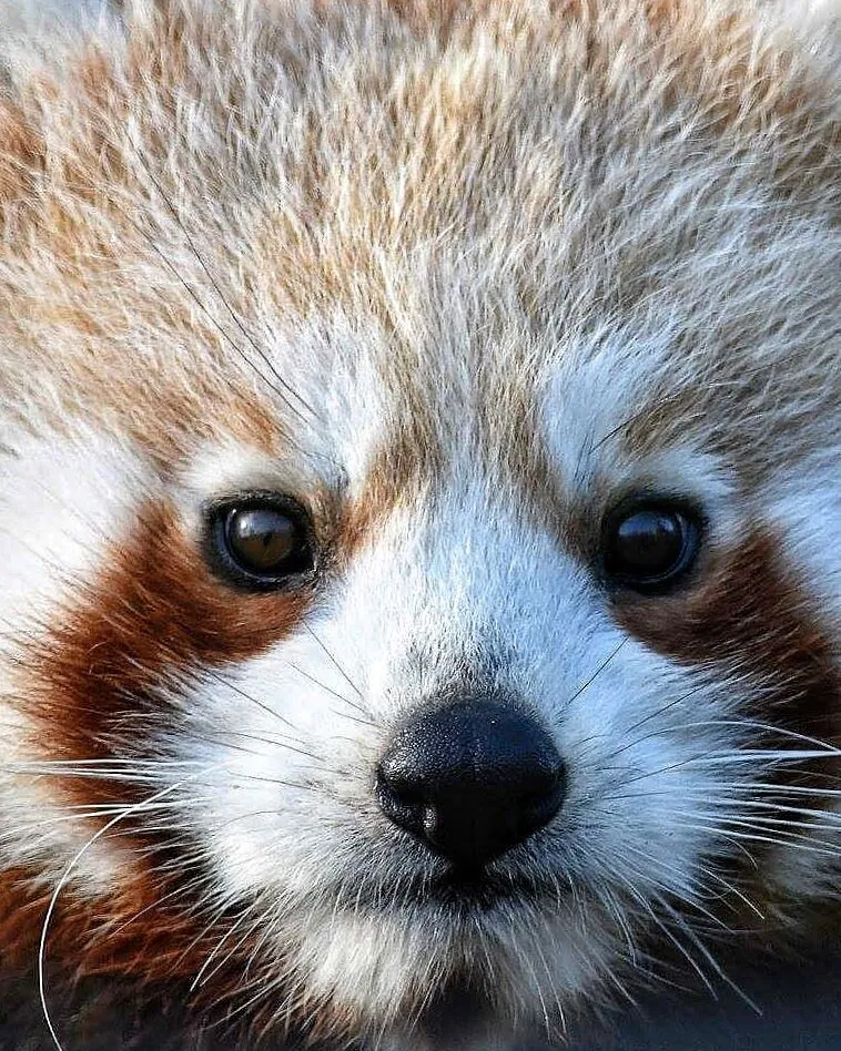Entry 7885113