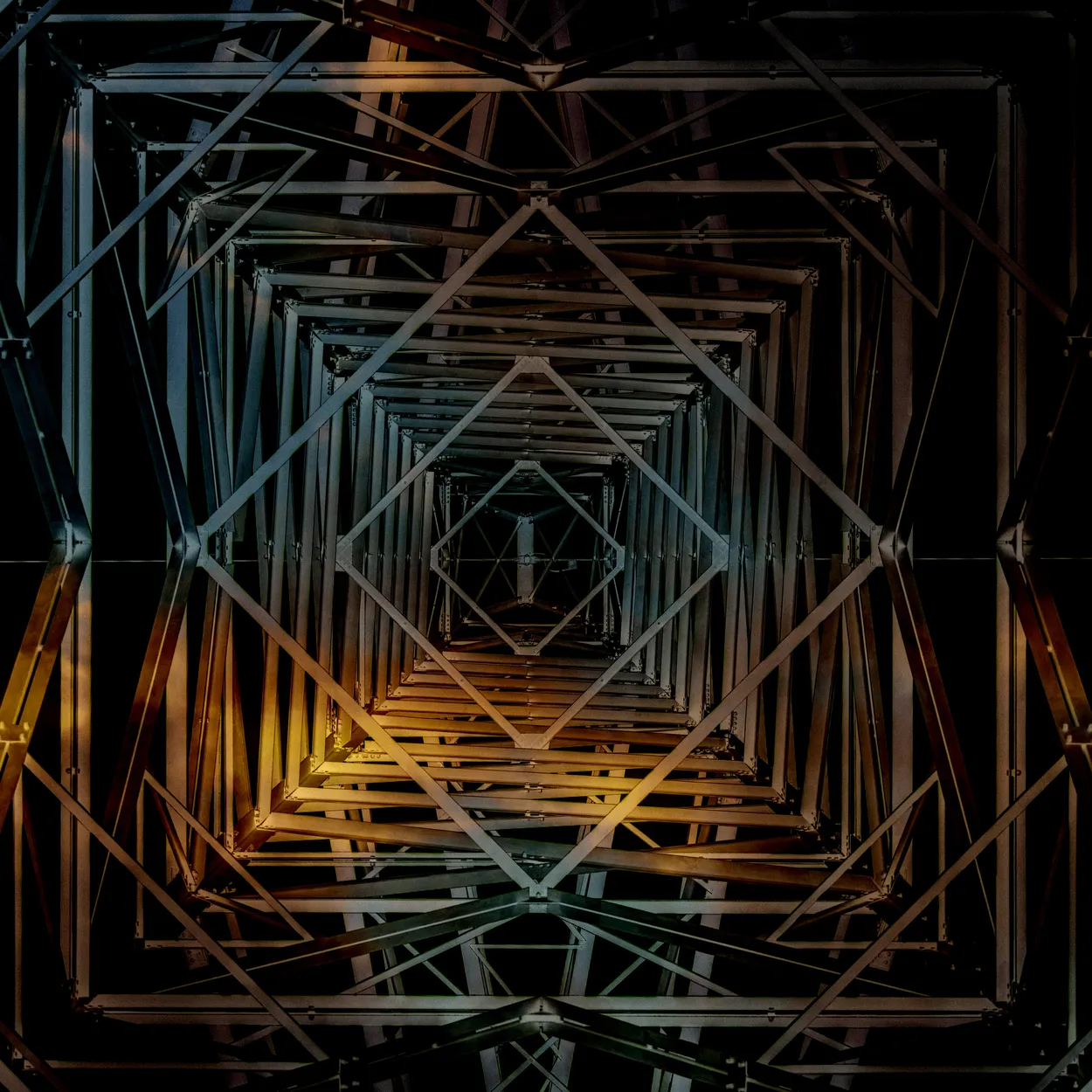 Entry 16890329