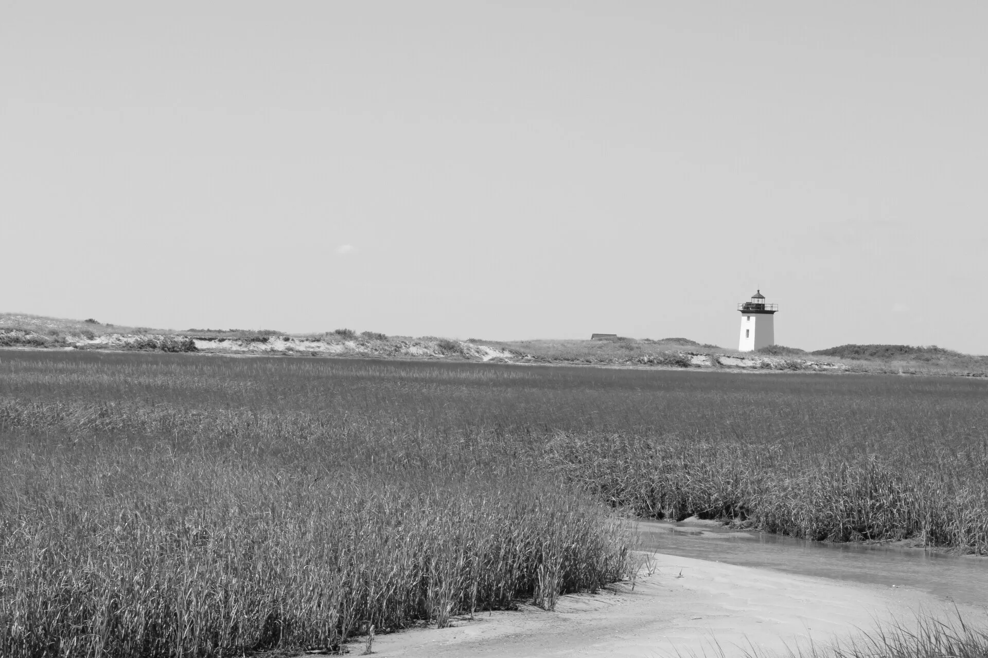 The lighthouse