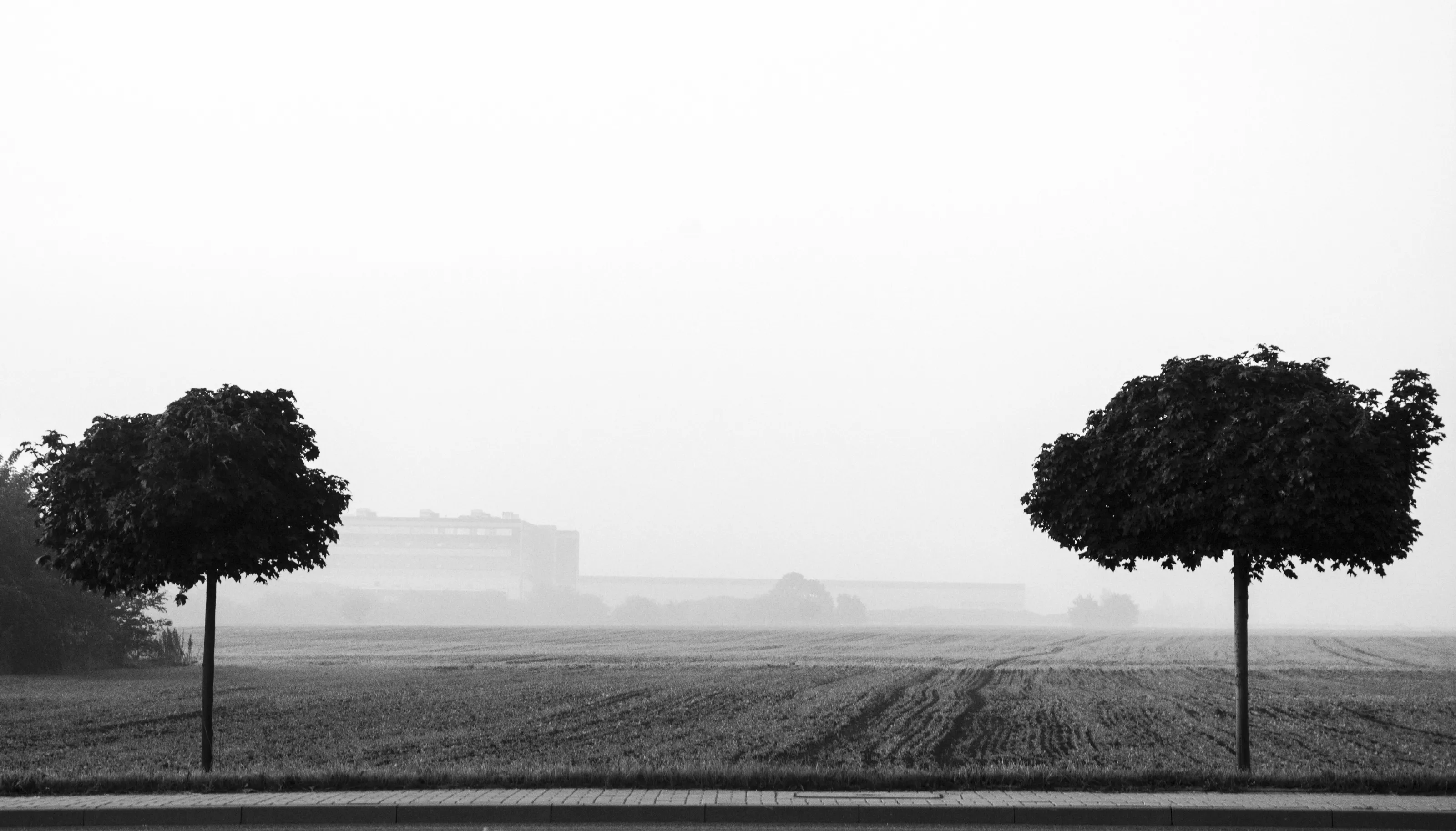 Trees