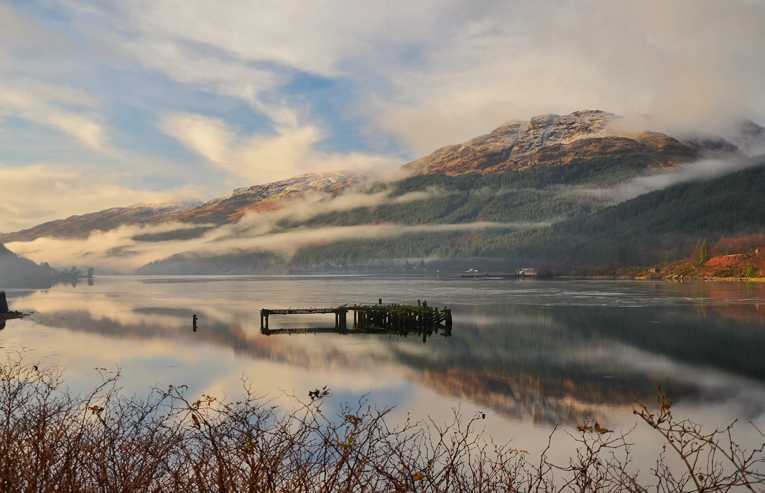 Misty morning