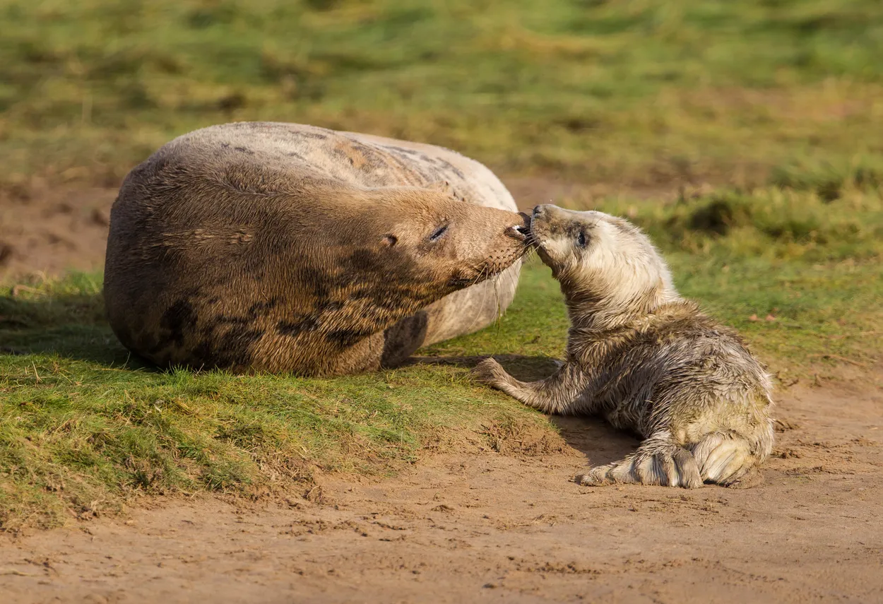 Entry 13627868