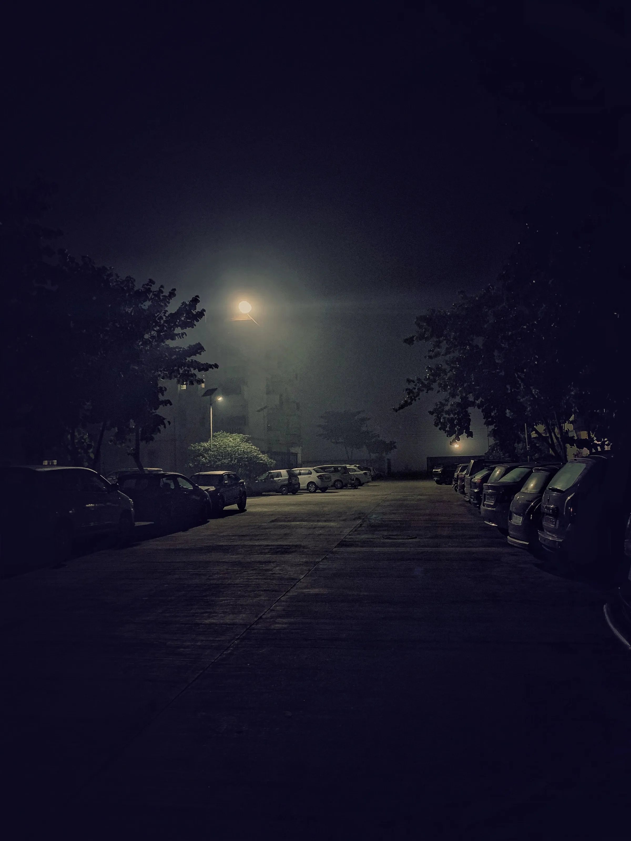 Lonely night