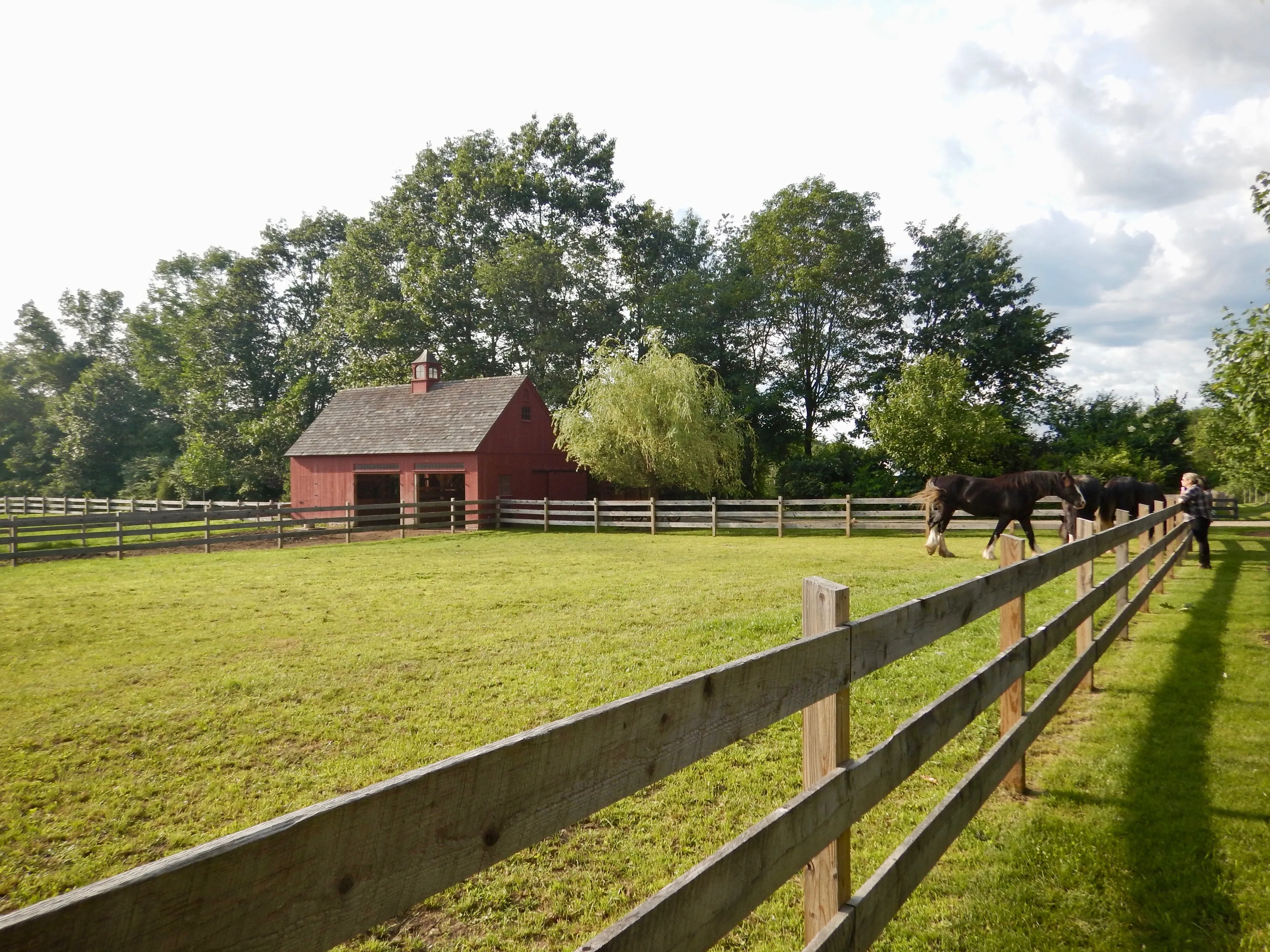 A Day on the Farm