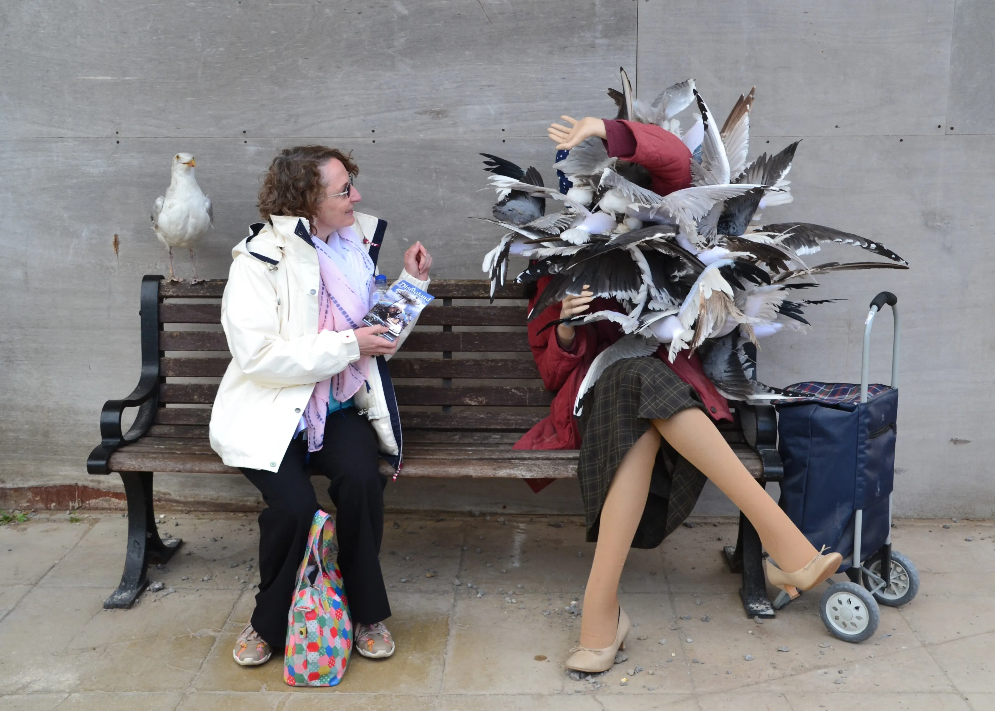You Really Shouldn't Feed the Seagulls!
