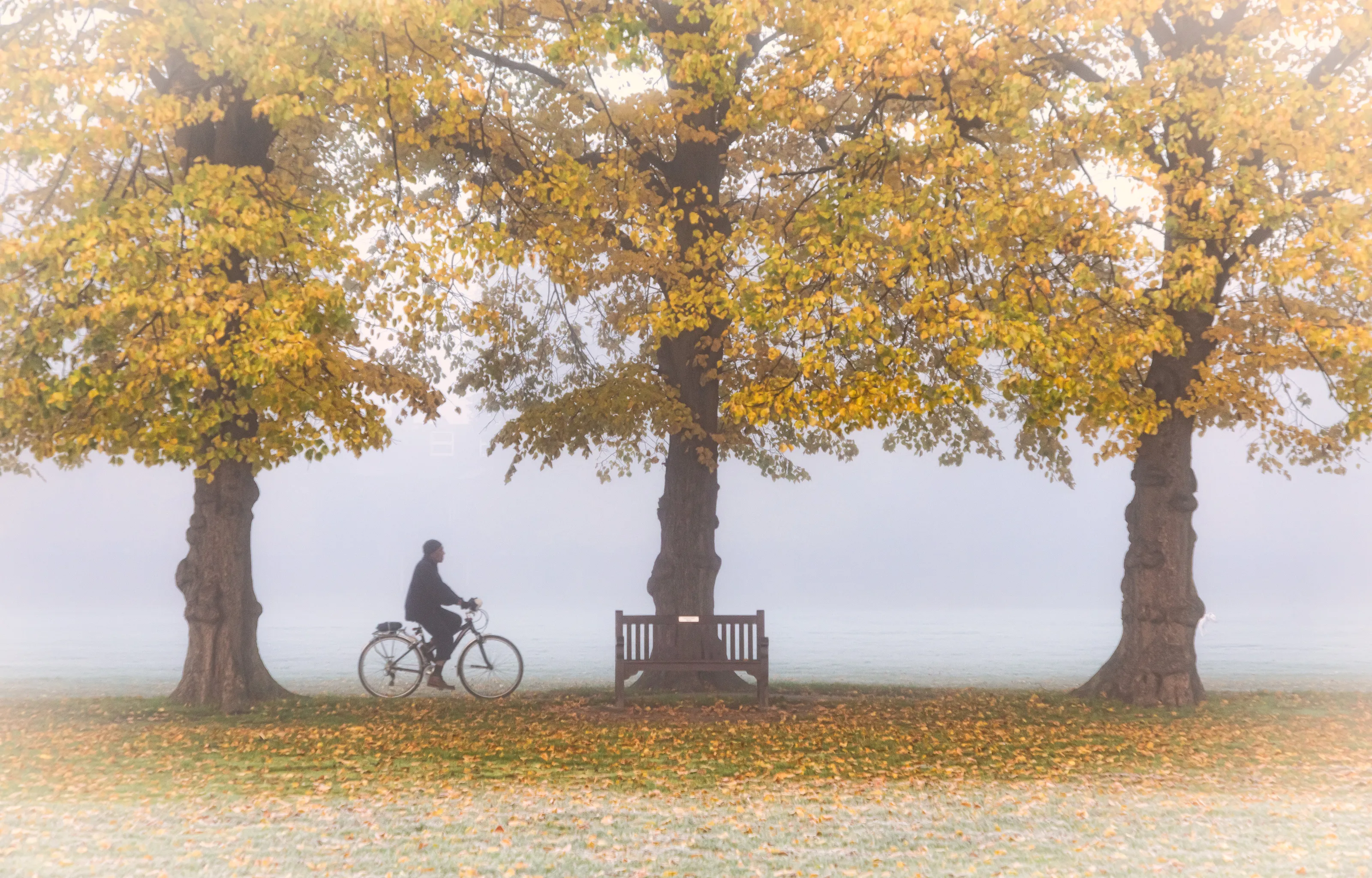 Seasonal Cycle