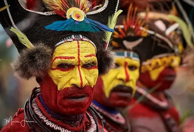 Huli wigman warrior, Tari region, Papua New Guinea
