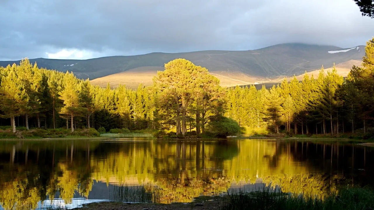 Rothiemurcus Cairngorm