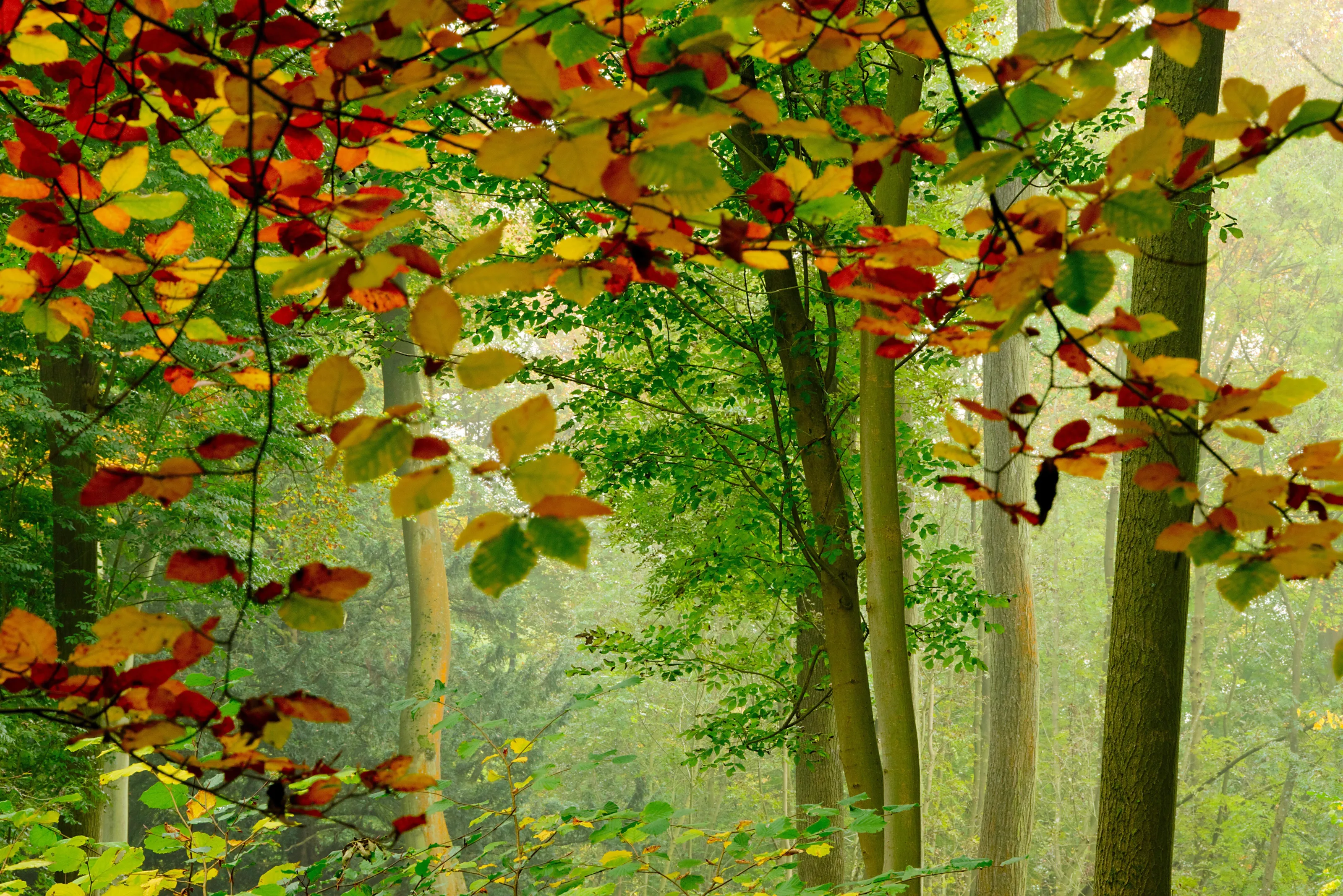 Garsons Hill, Oxfordshire