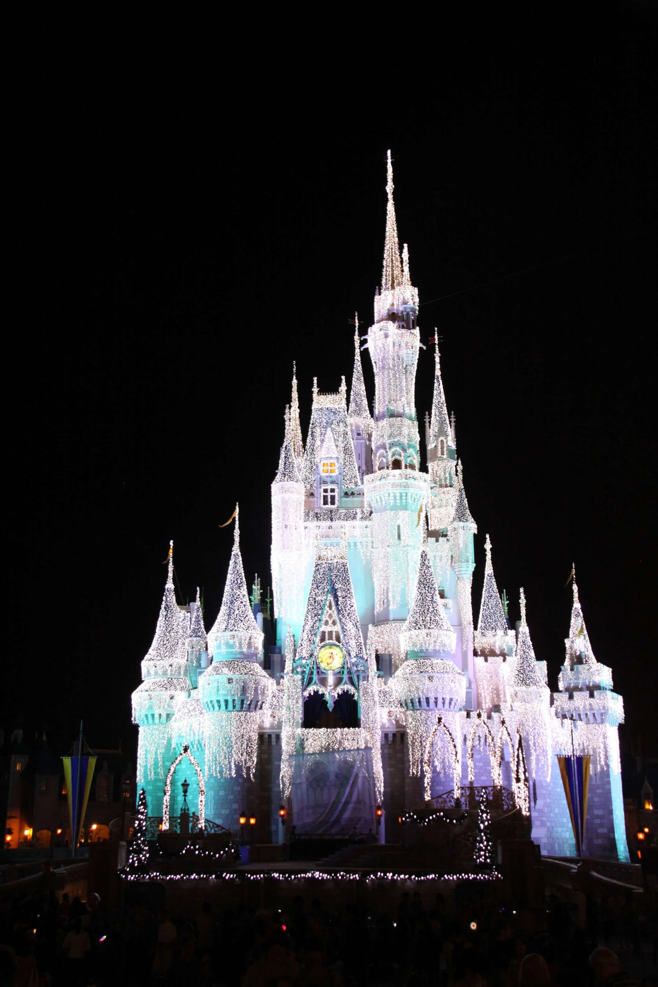 Magic Kingdom Christmas Castle