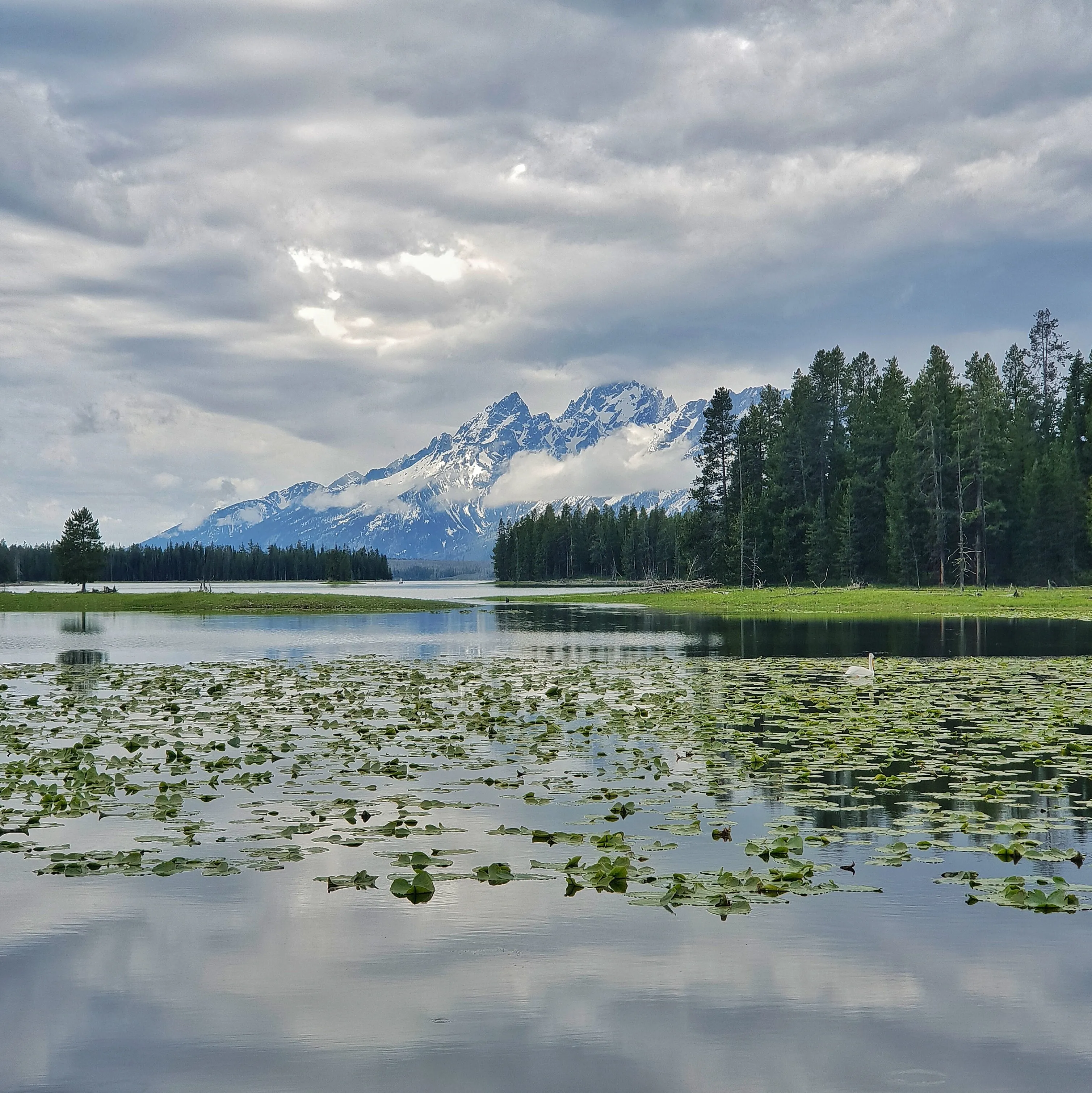 Morning at the Grand Teton