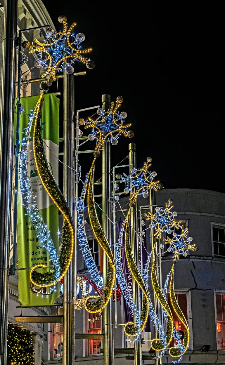 Entry 11307165