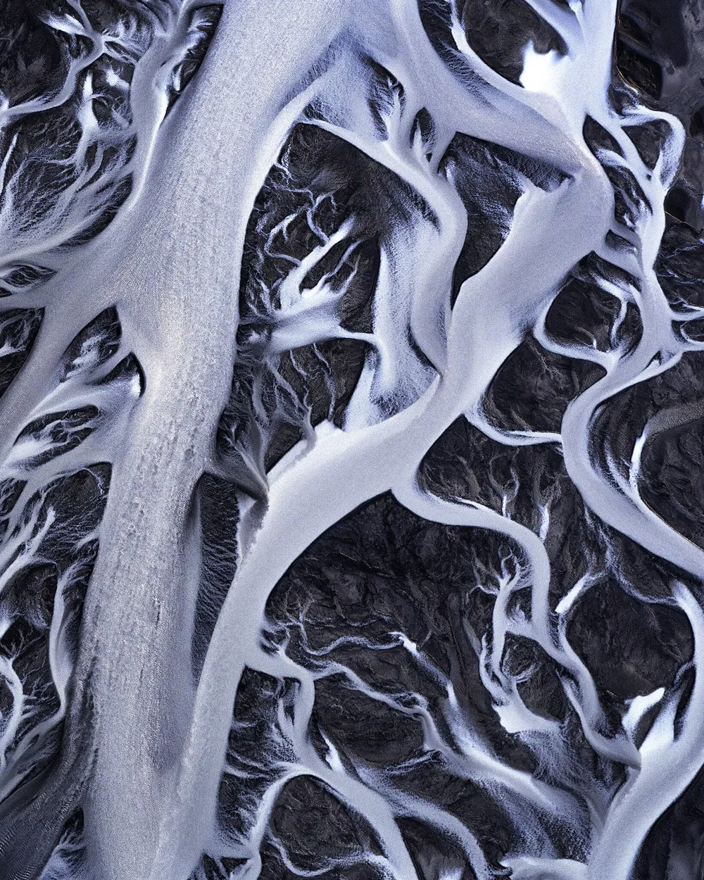 Arctic Veins