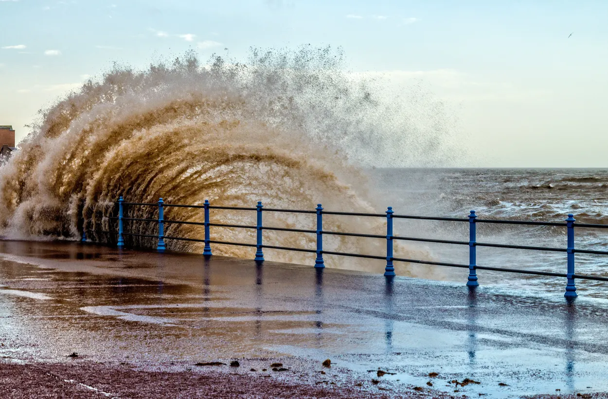 Entry 270203