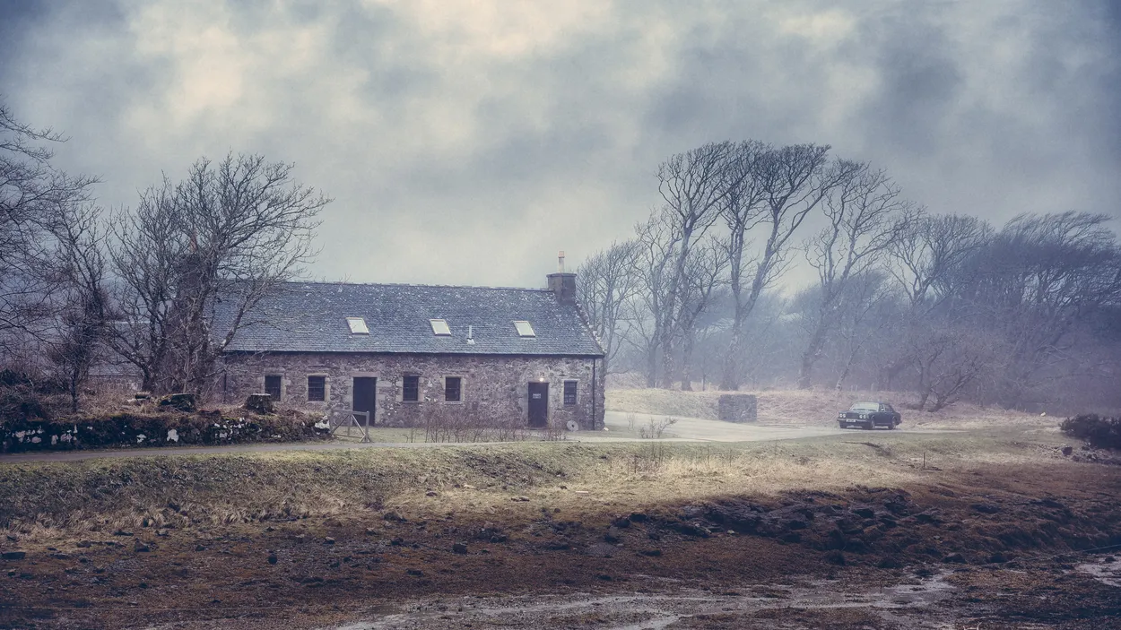 Entry 3690221