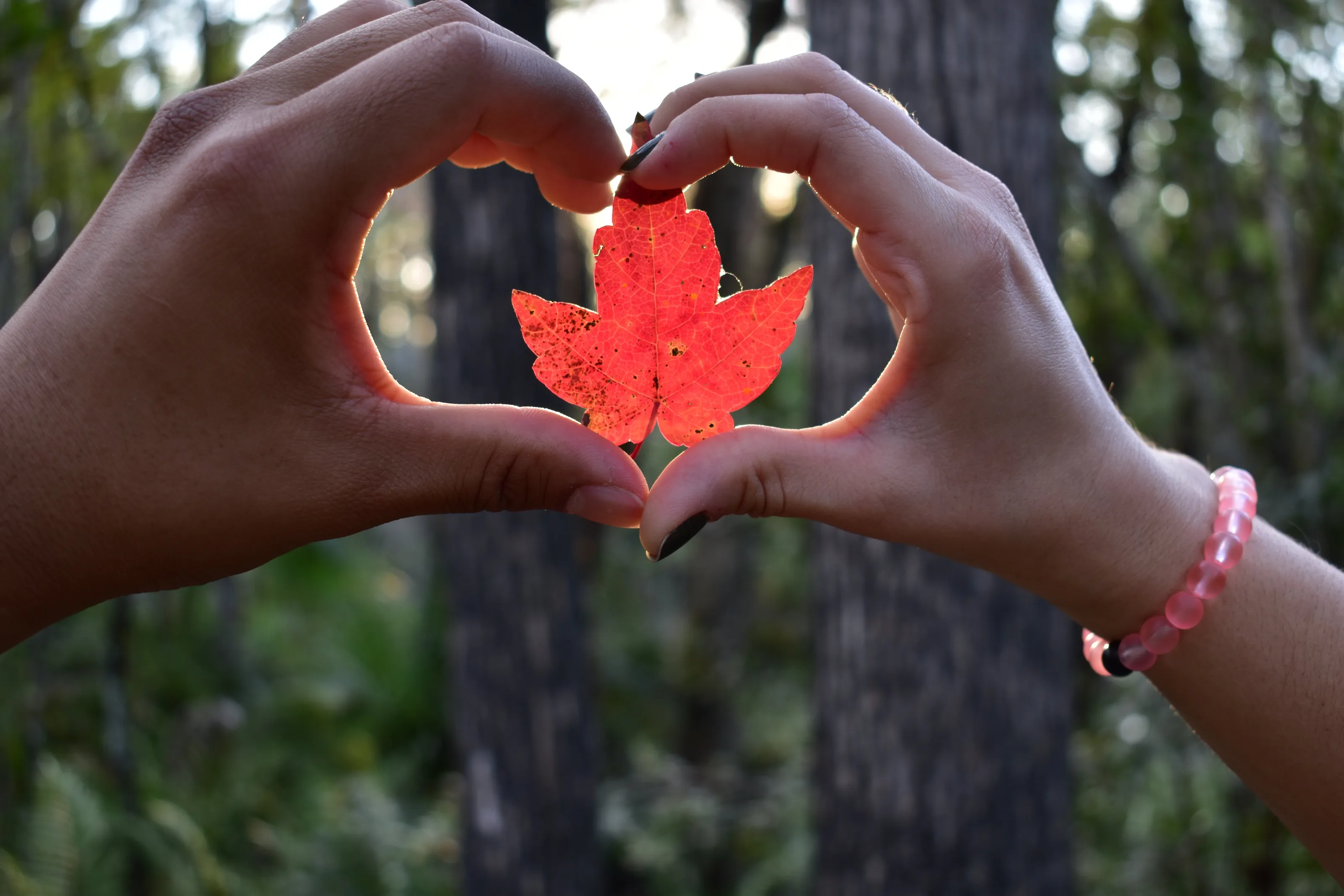 Love in Nature