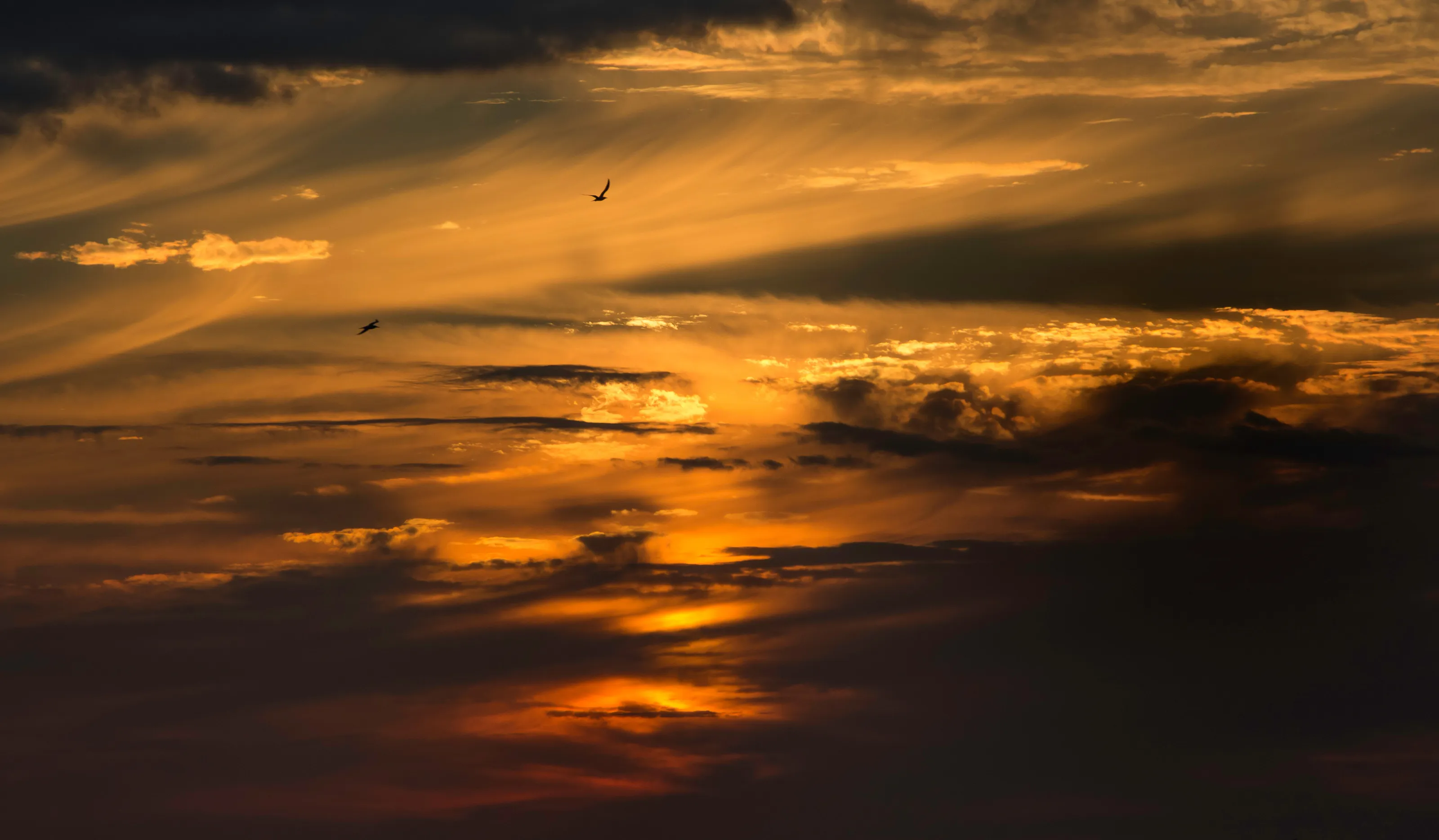 Into the Setting Sun