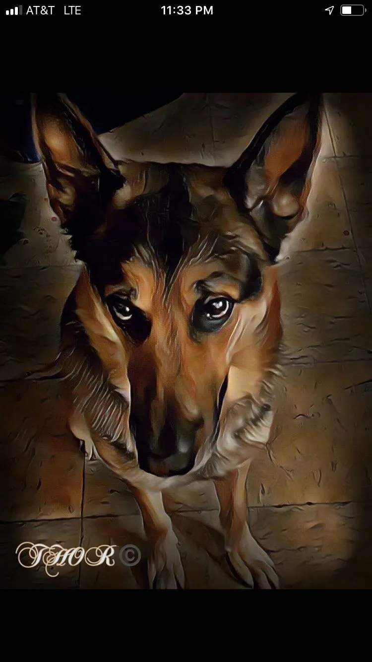 Thor
