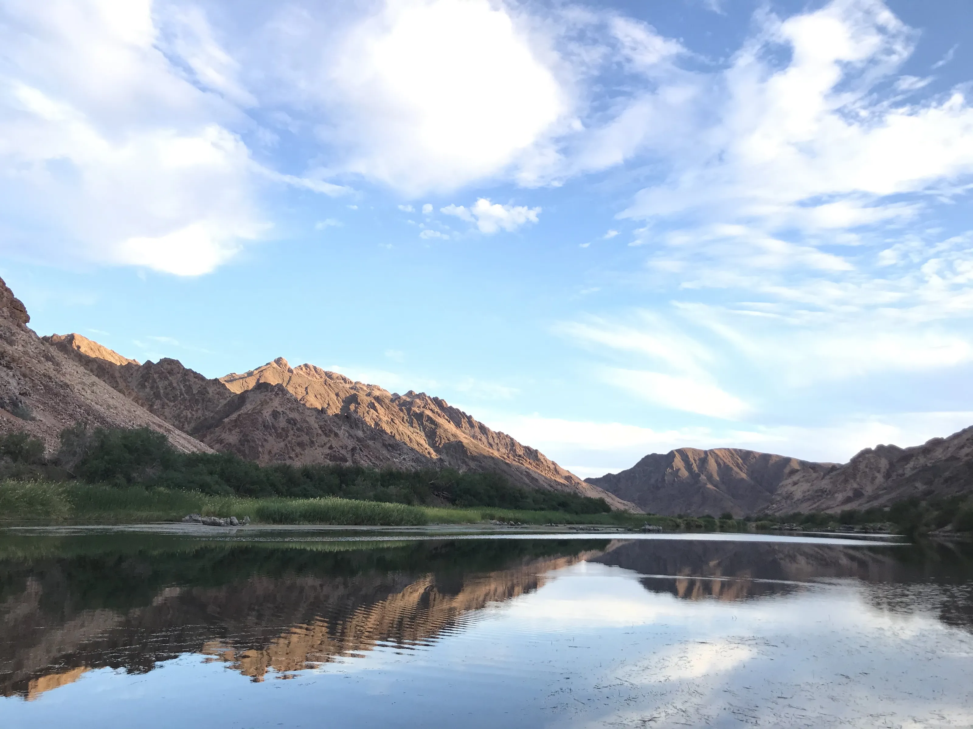 Reflections