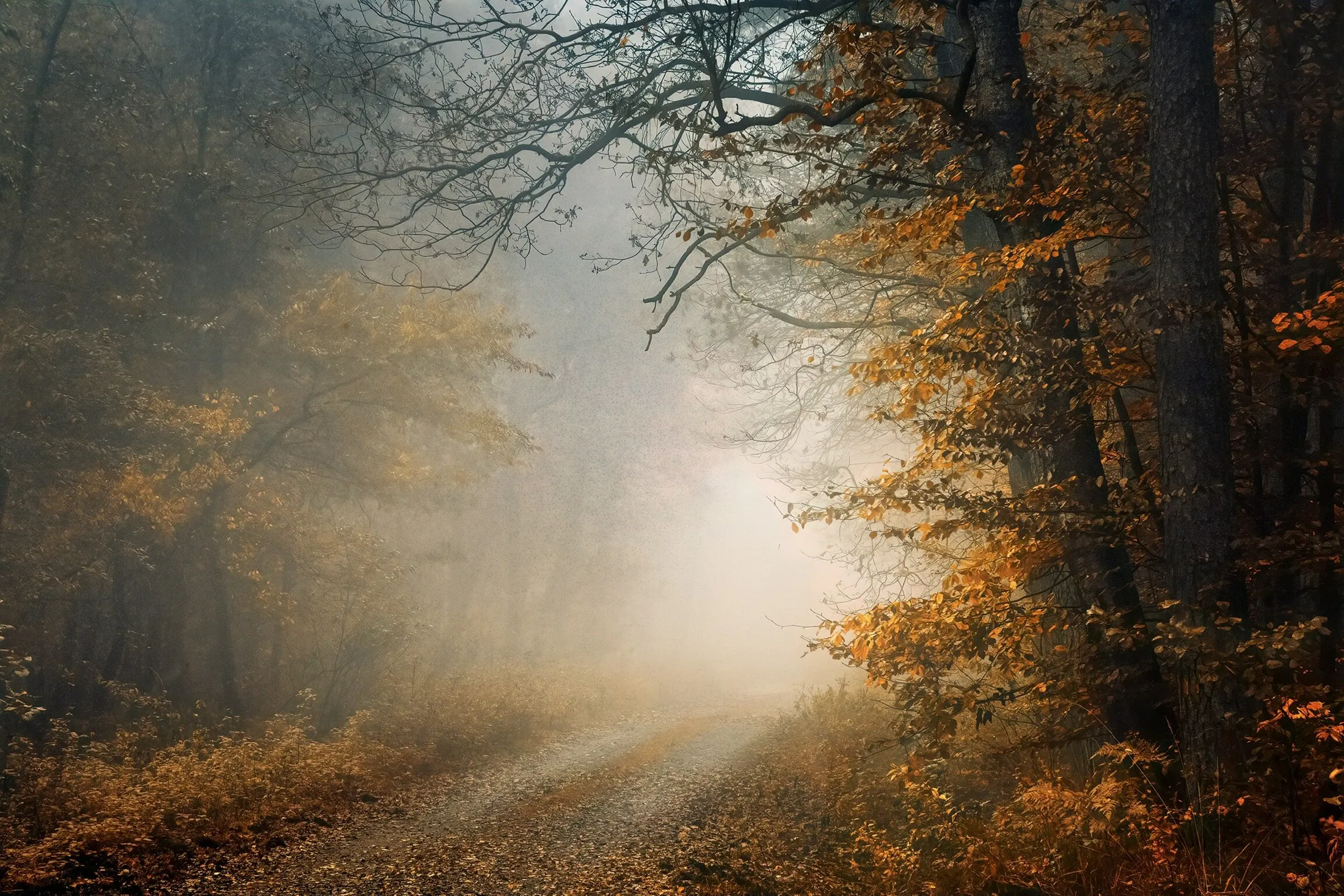 Let’s go there...