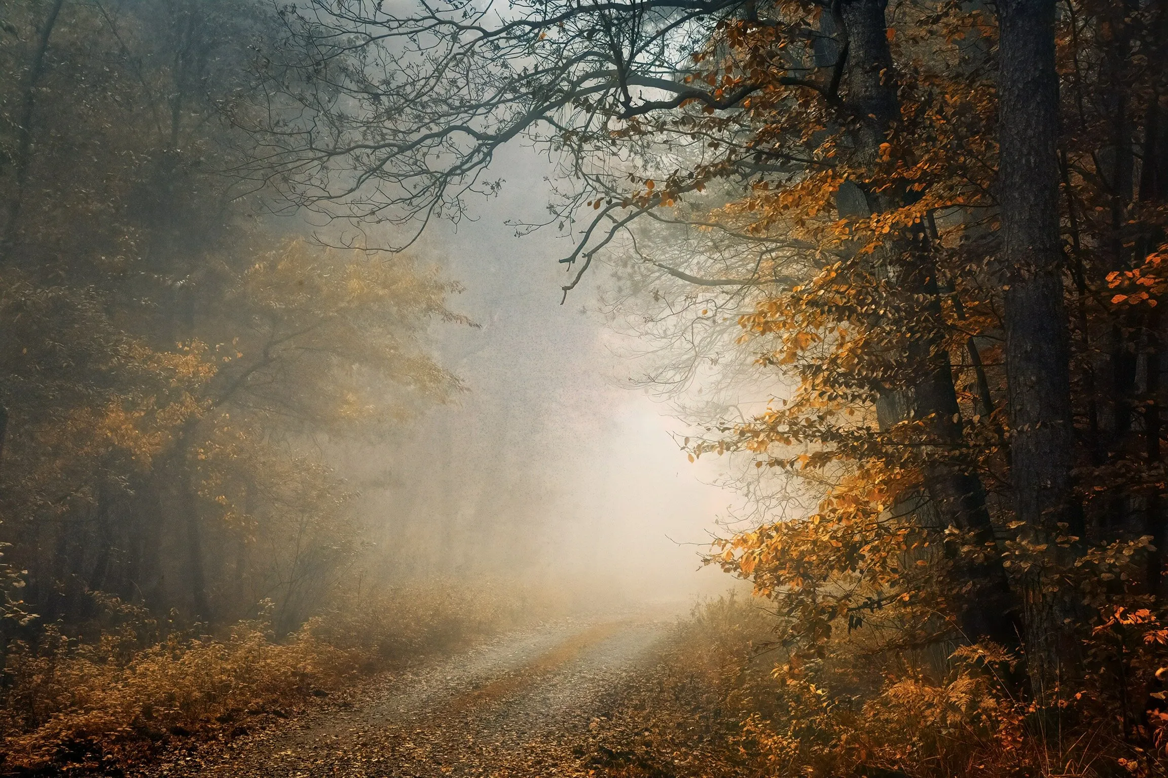 Let’s go there...