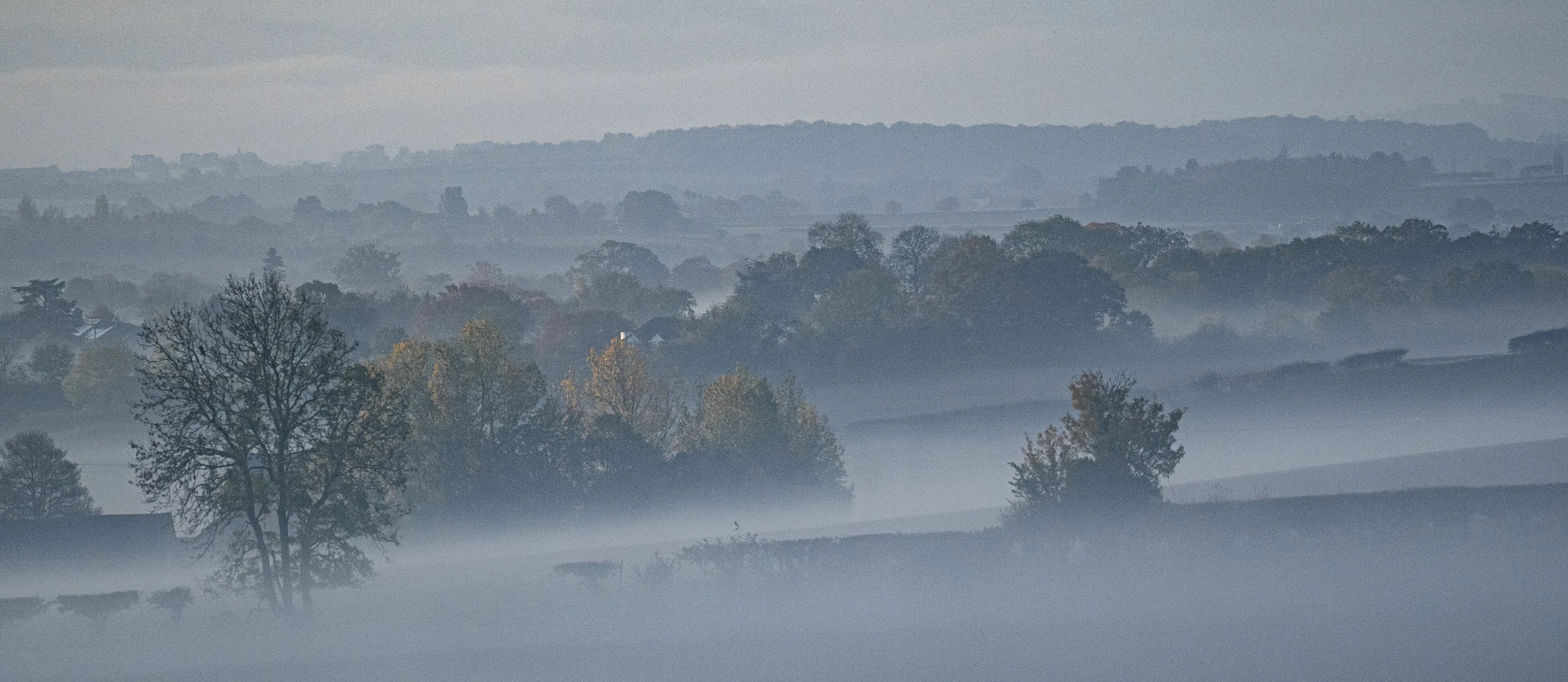 Misty morning