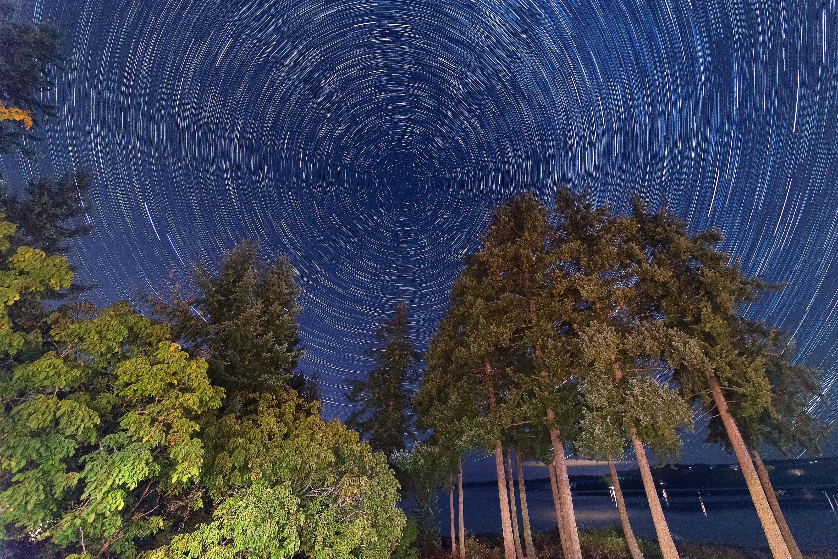 Star Trails over Buckley Bay