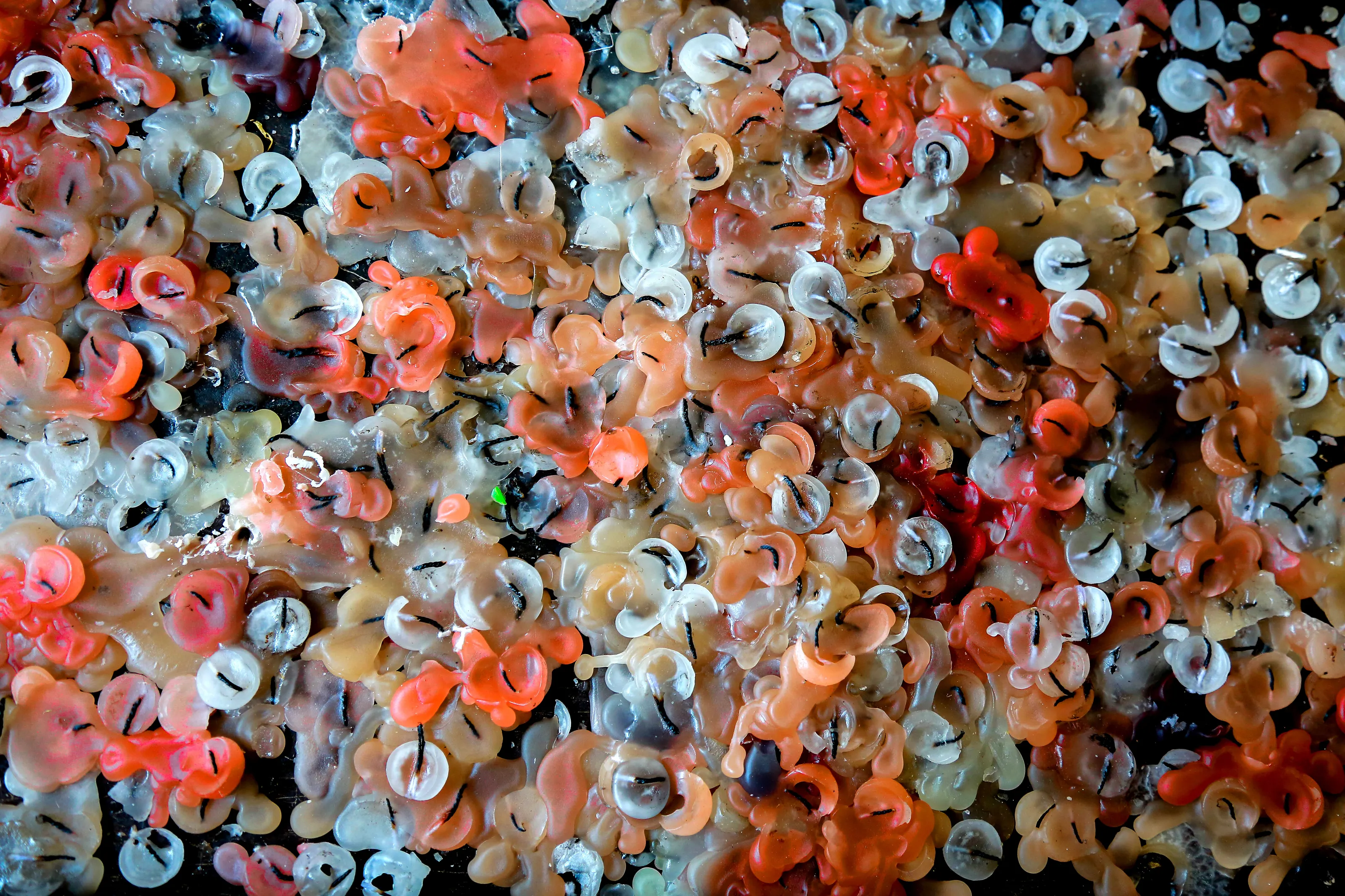 Remnant of candles