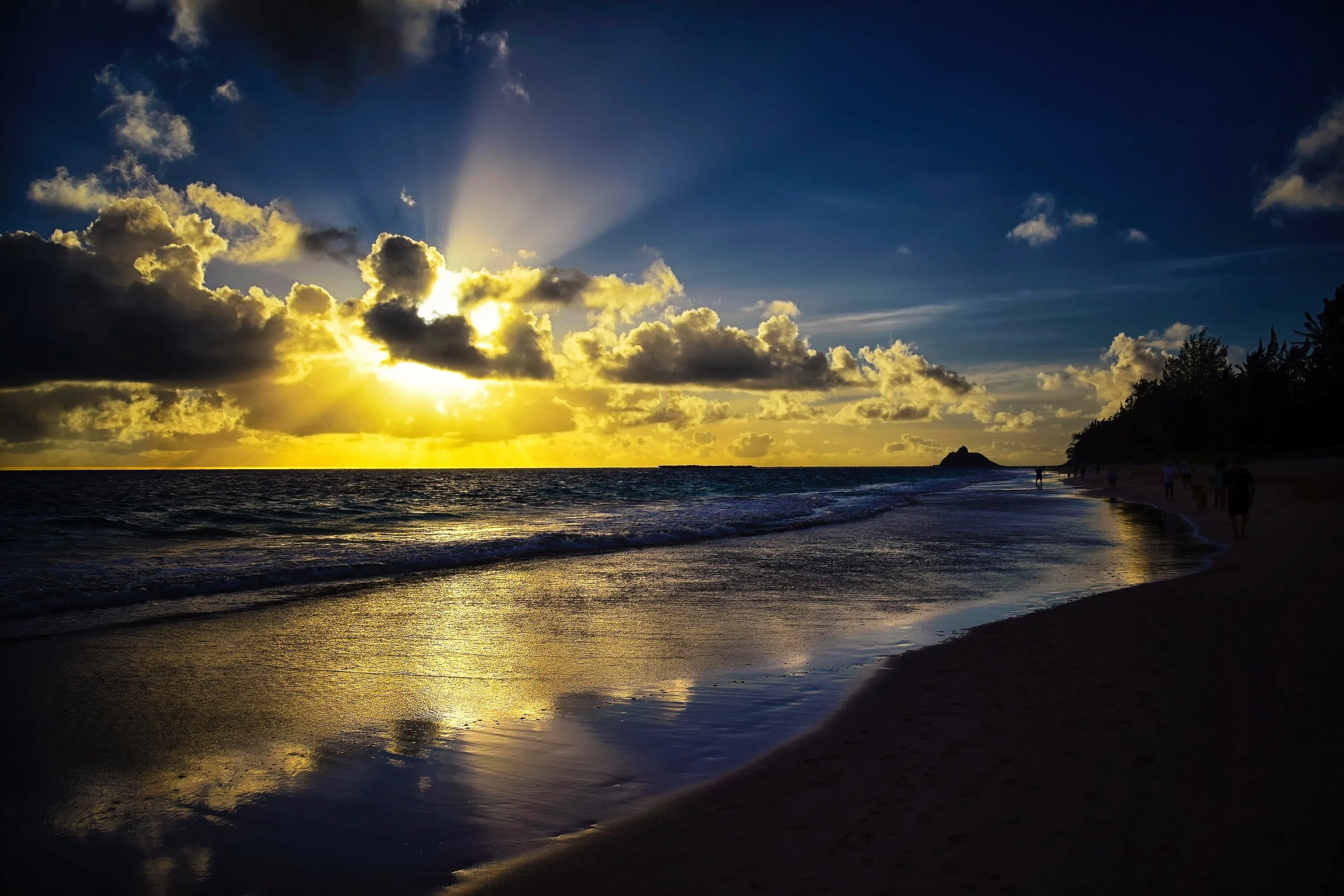 Dawn of a New Day
