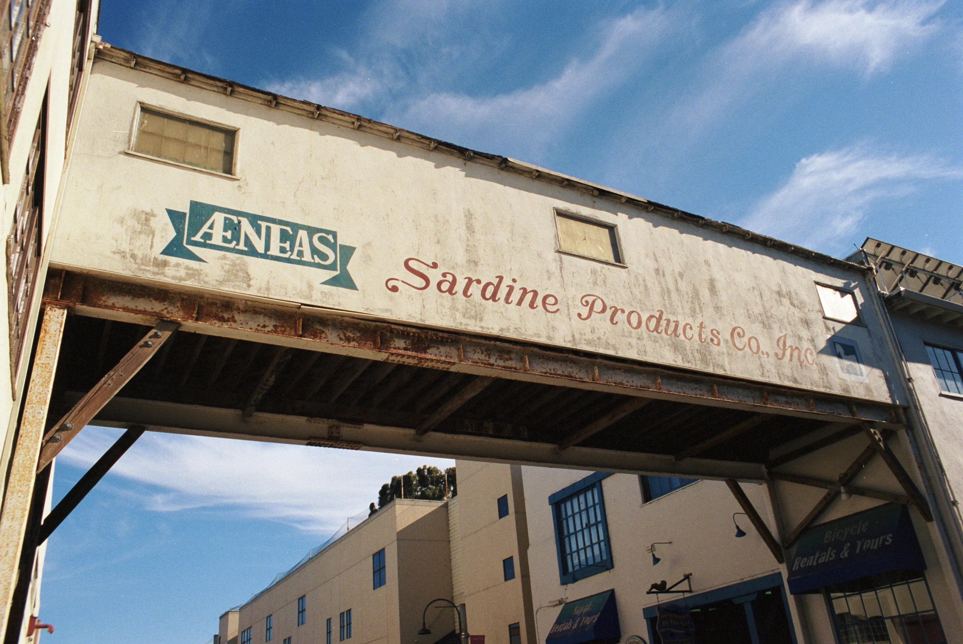 Sardine products