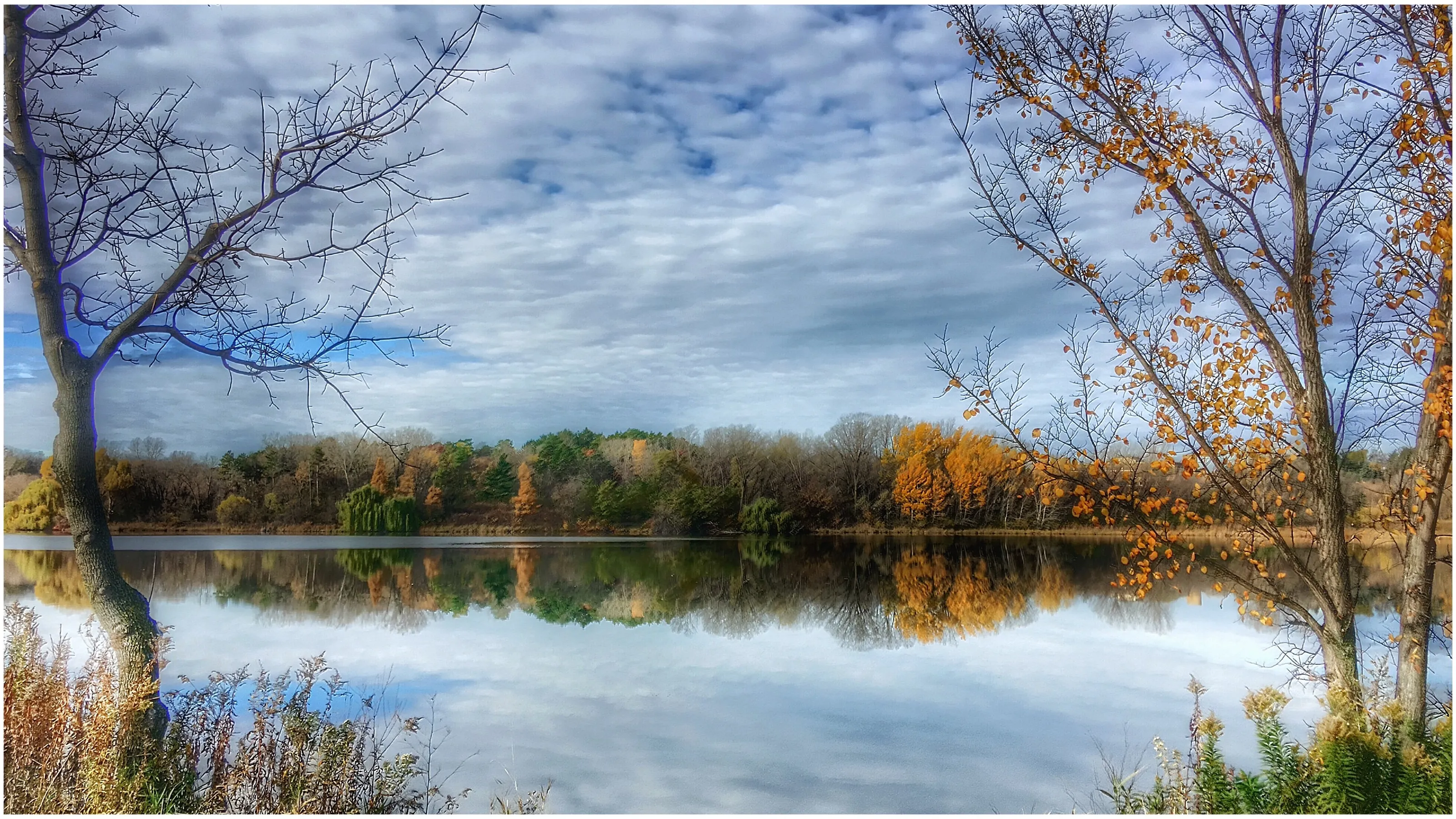 fall reflections