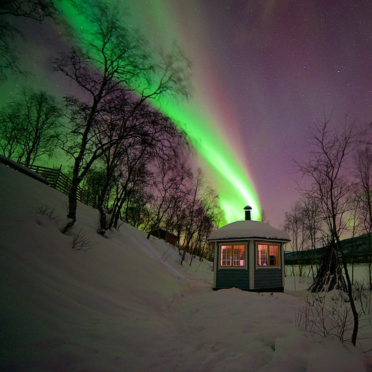 Entry 270597
