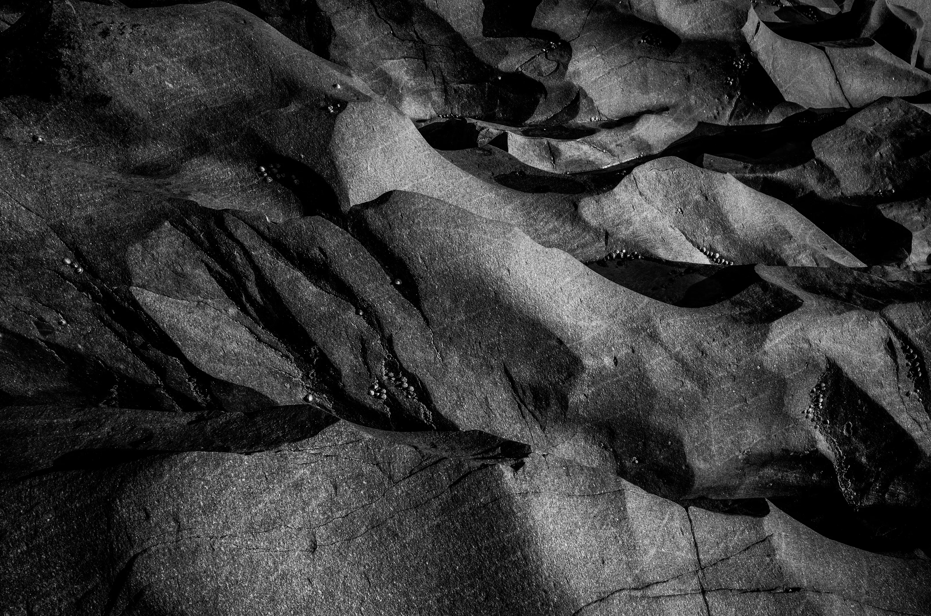 The Art of Sea