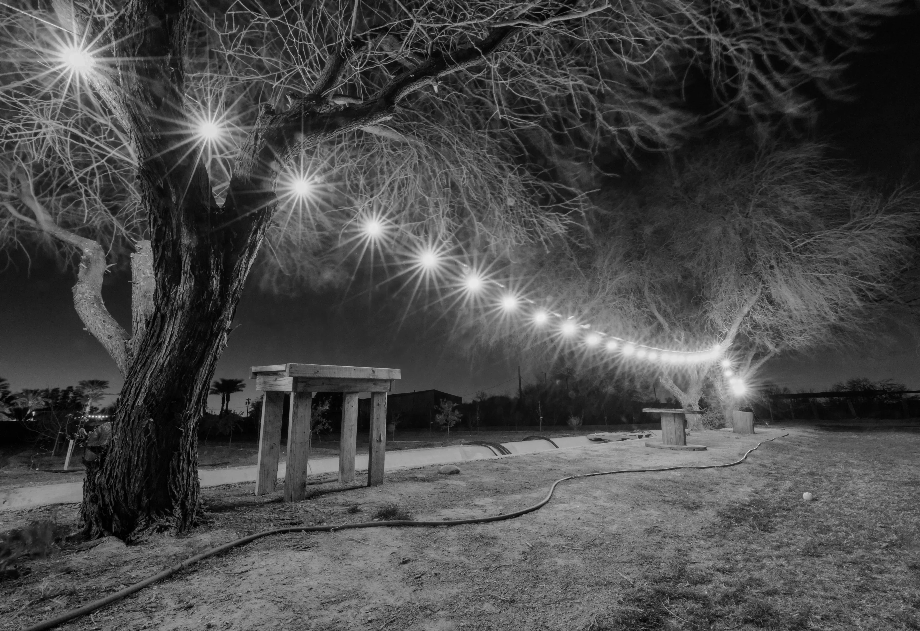 A Peaceful Night in Phoenix