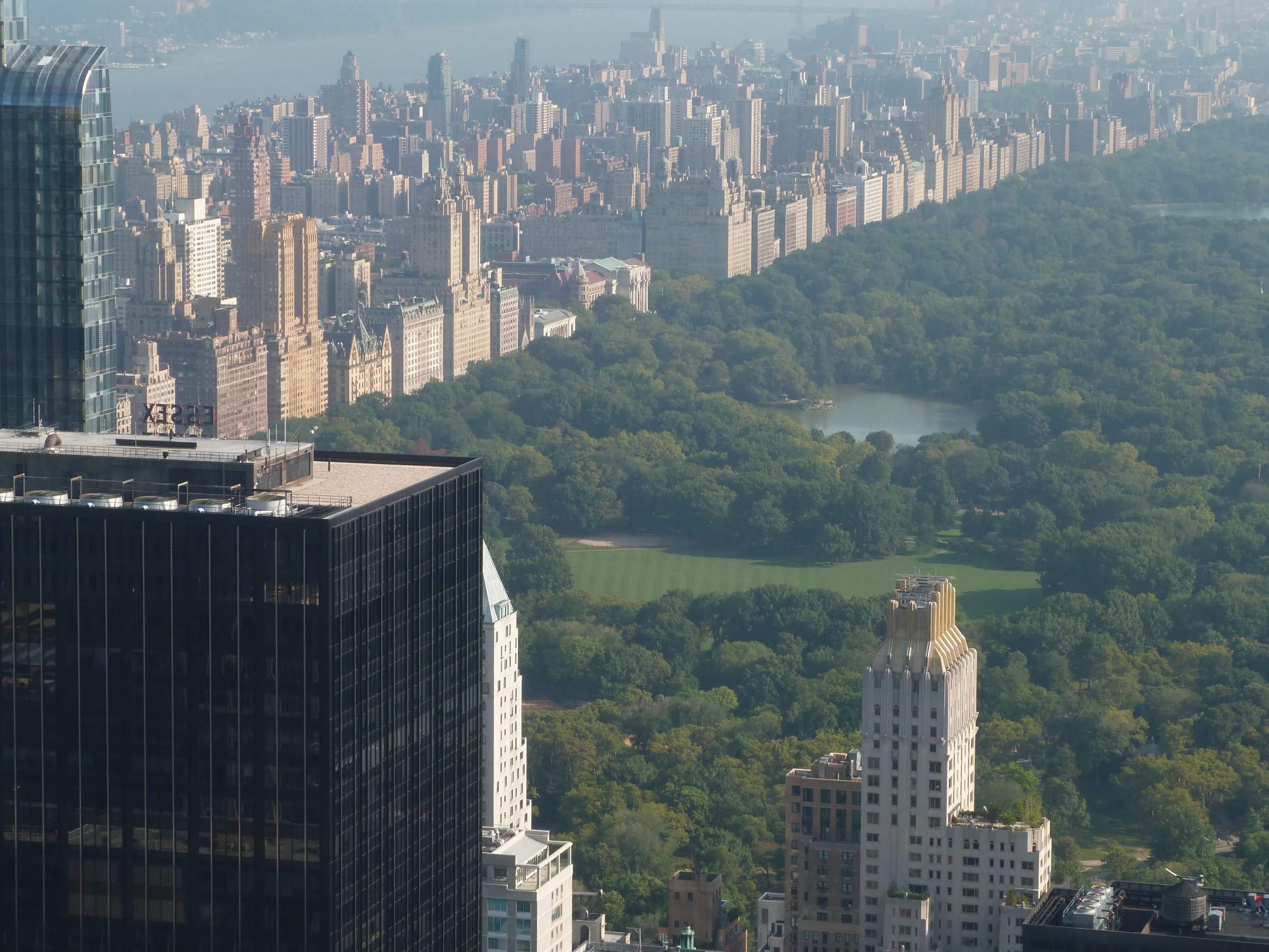 Best Lawn in the Big Apple?