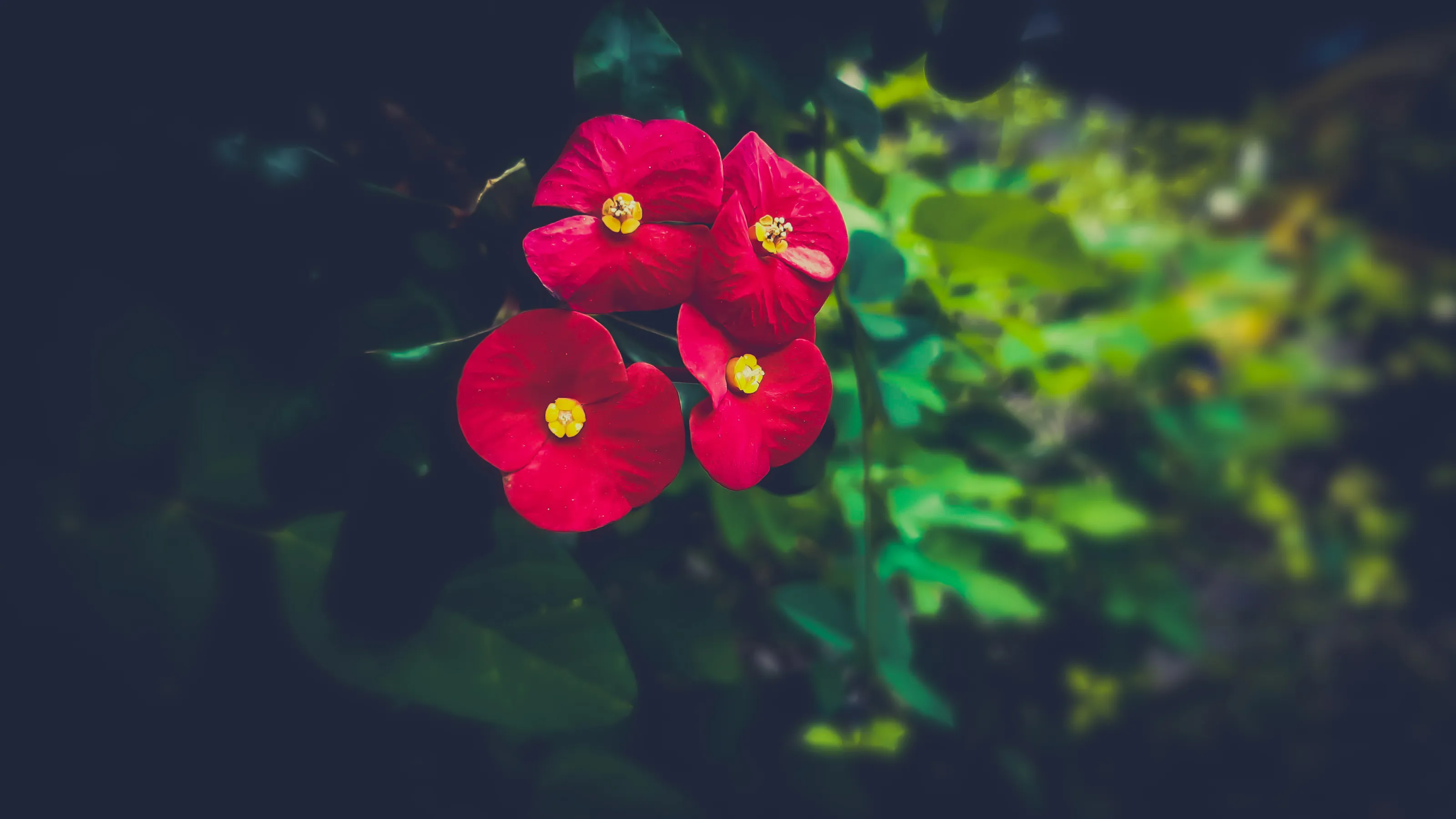 Floral feeling