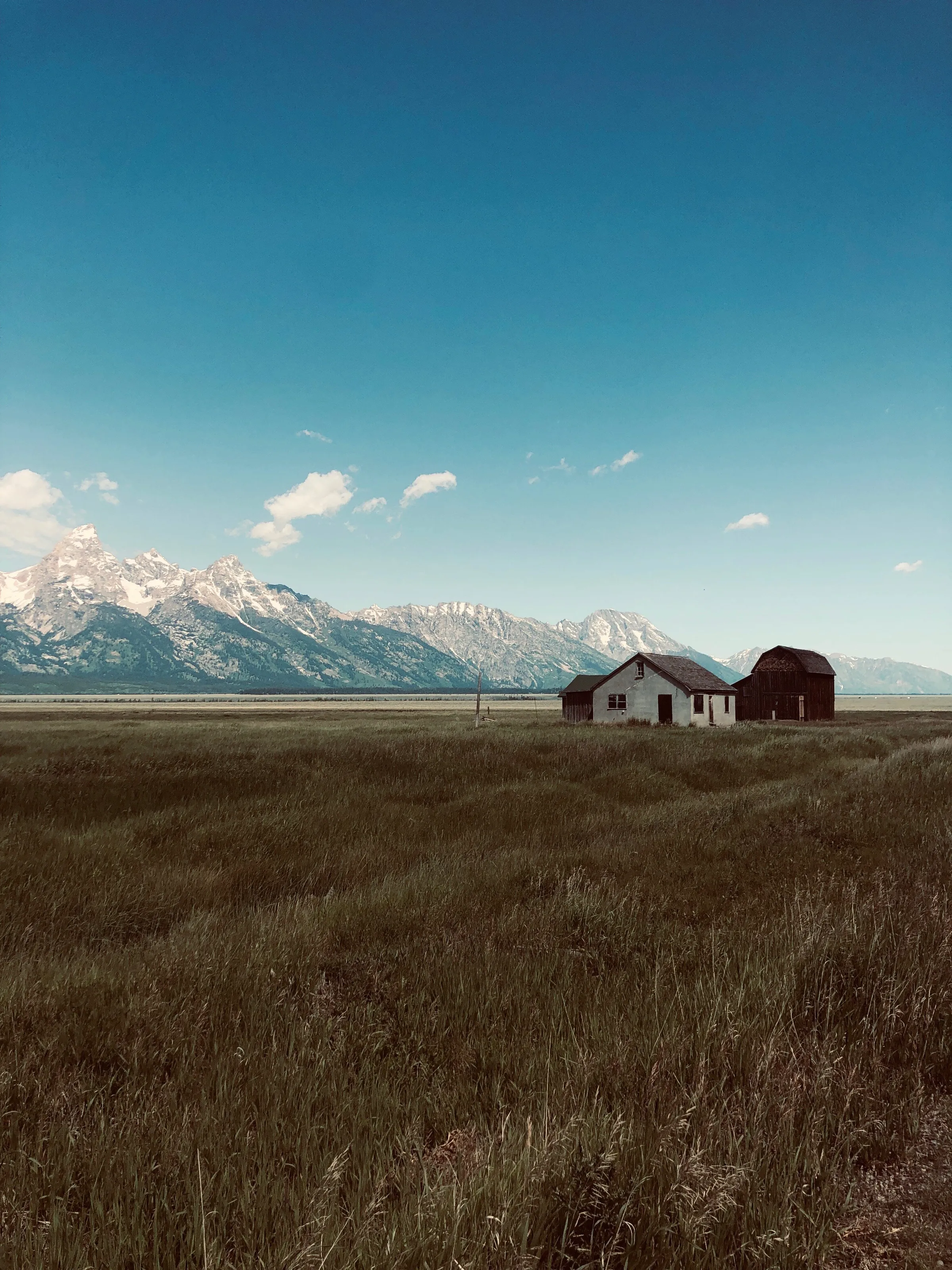 "Nobody's Home"