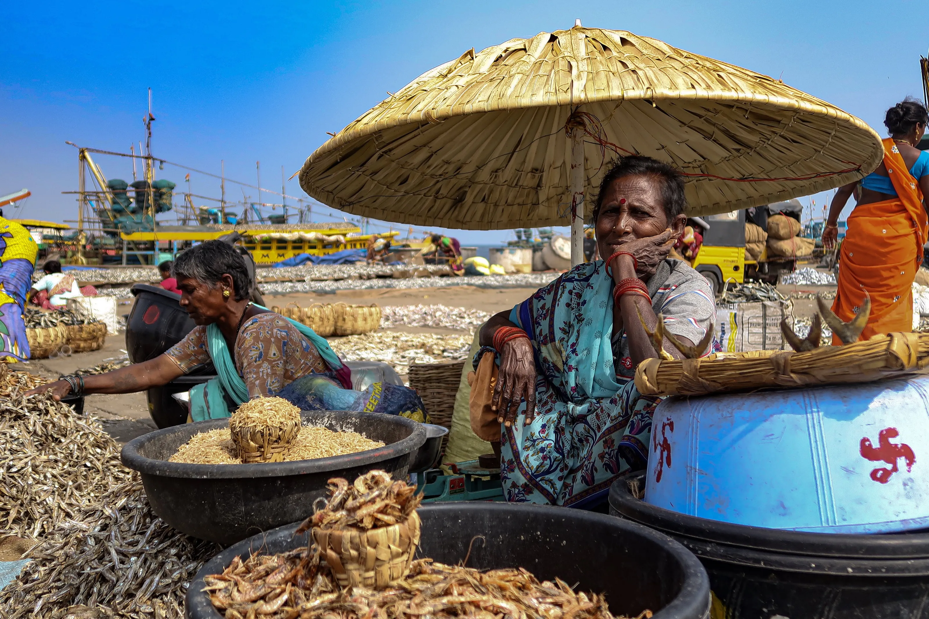 An Elderly Women Selling Dried Fish in a Fish Harbor in India