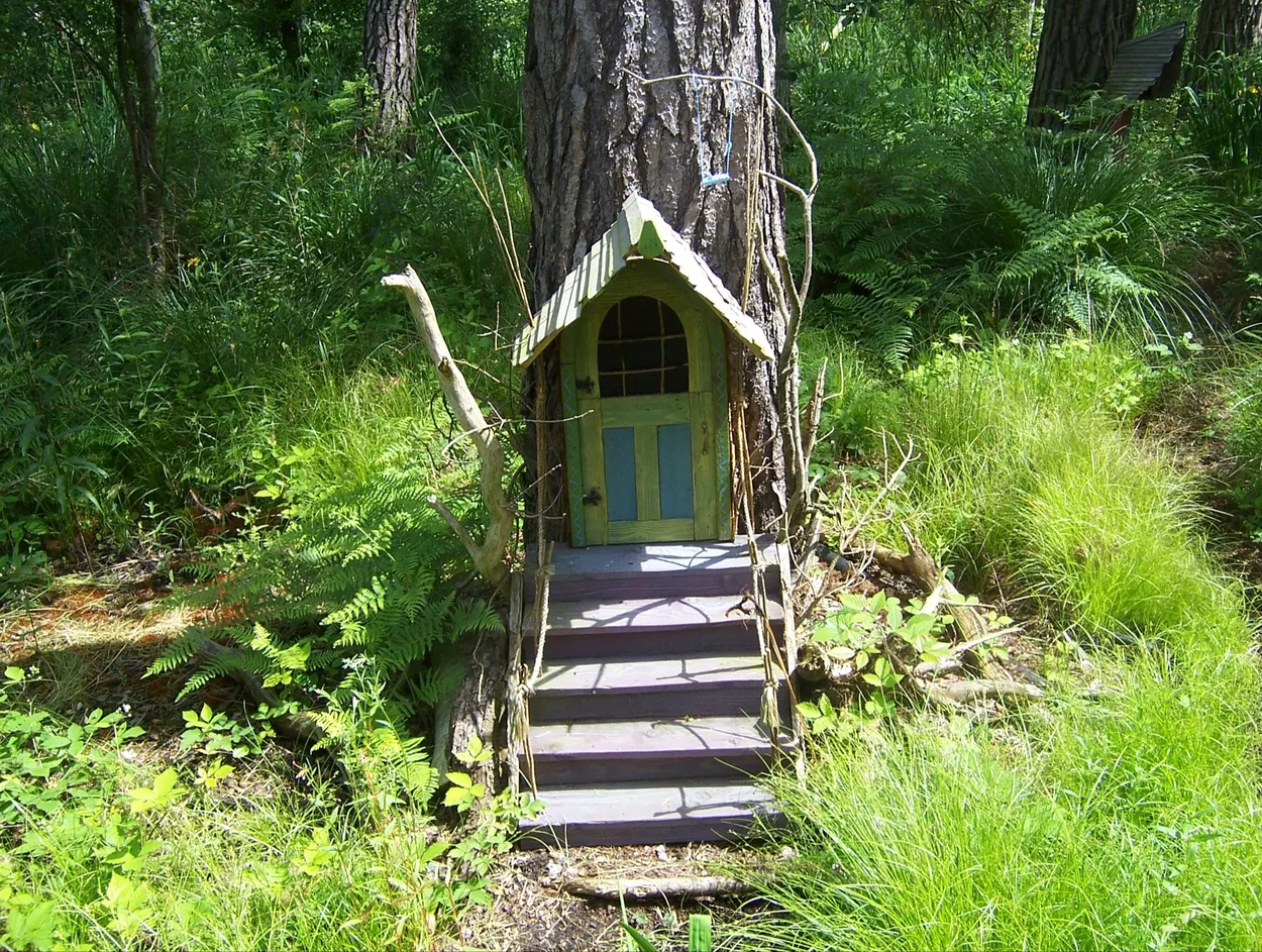 Entry 6144117