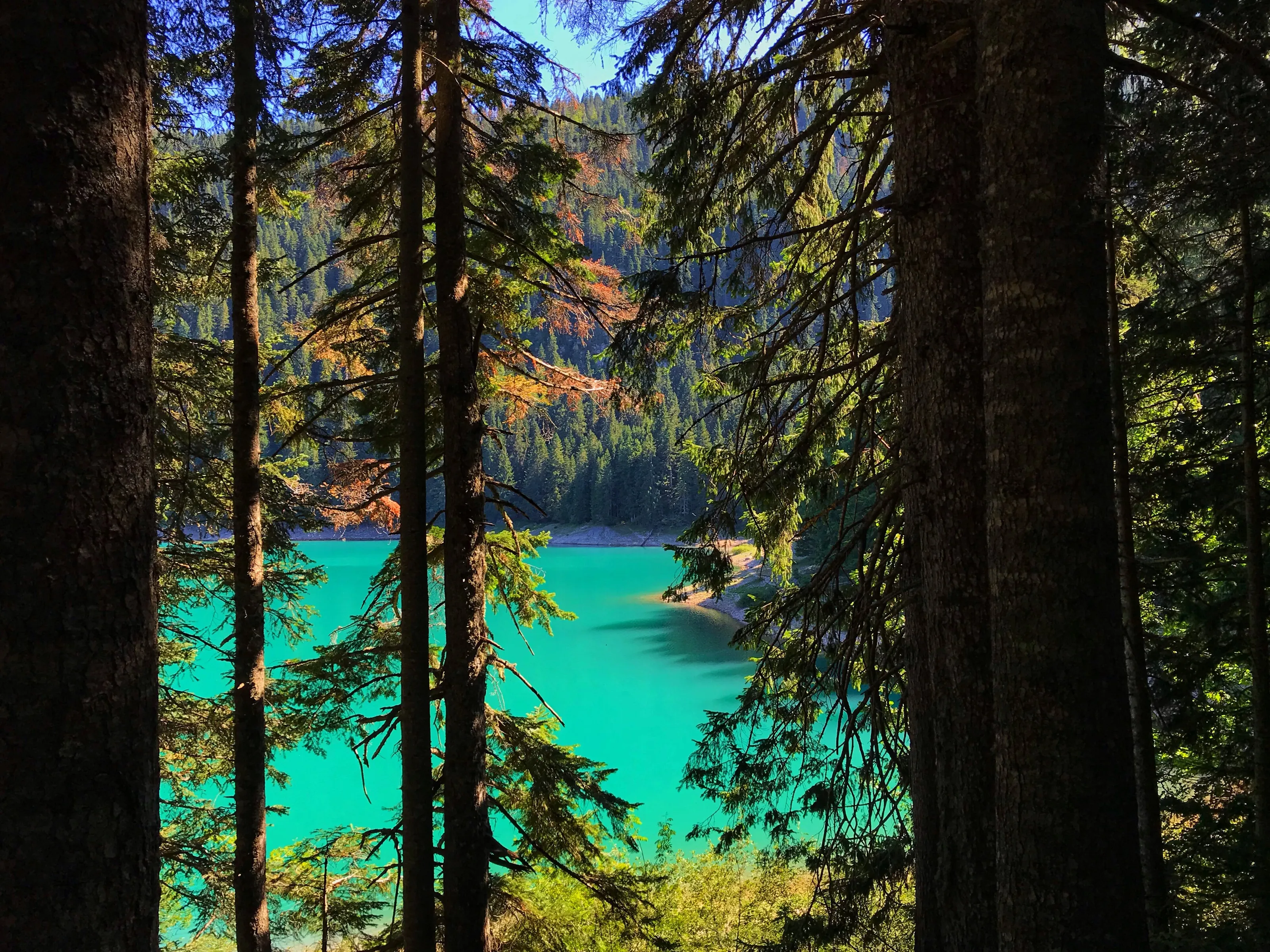 Black lake